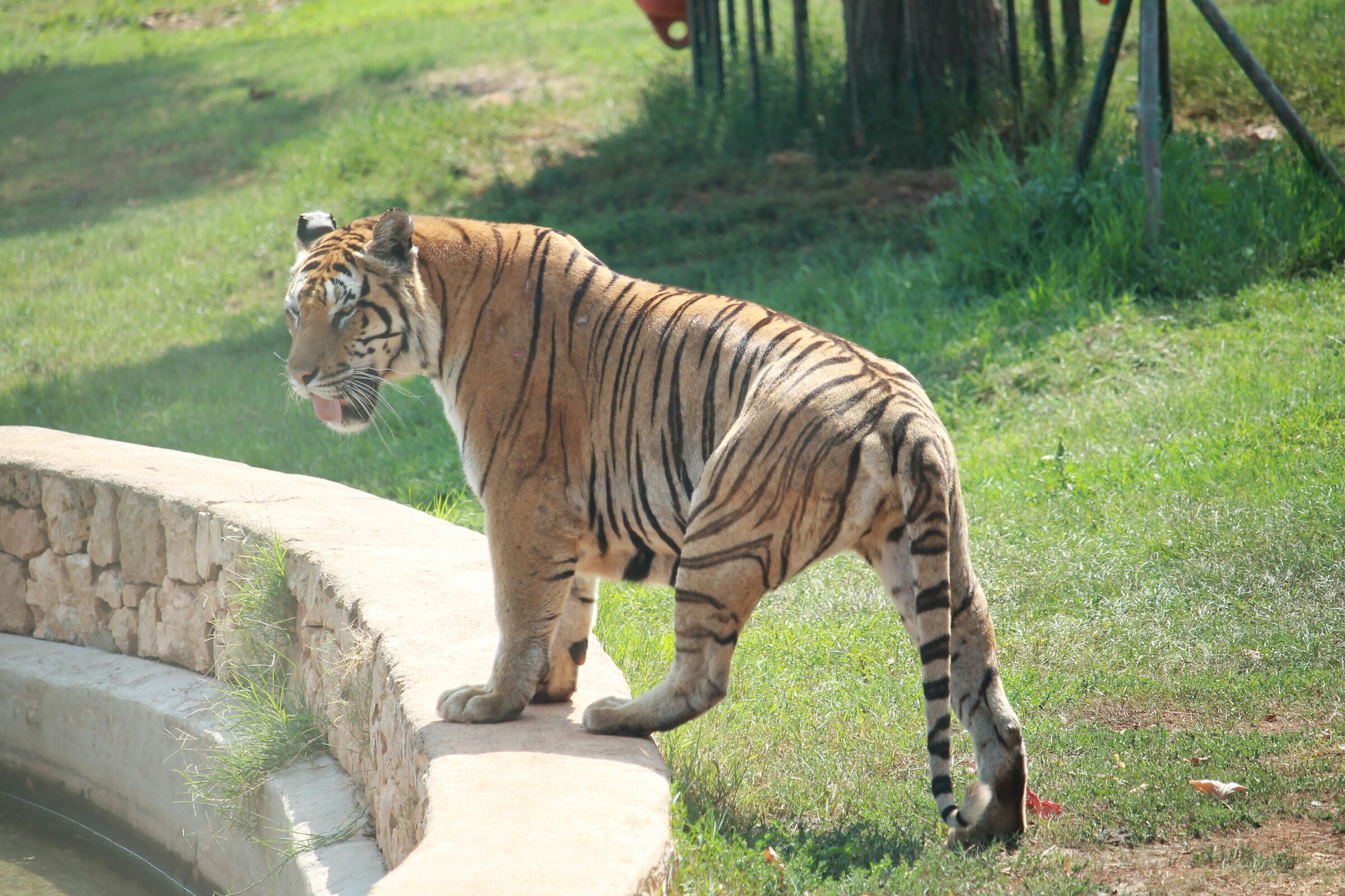 quel giorno era nervosa