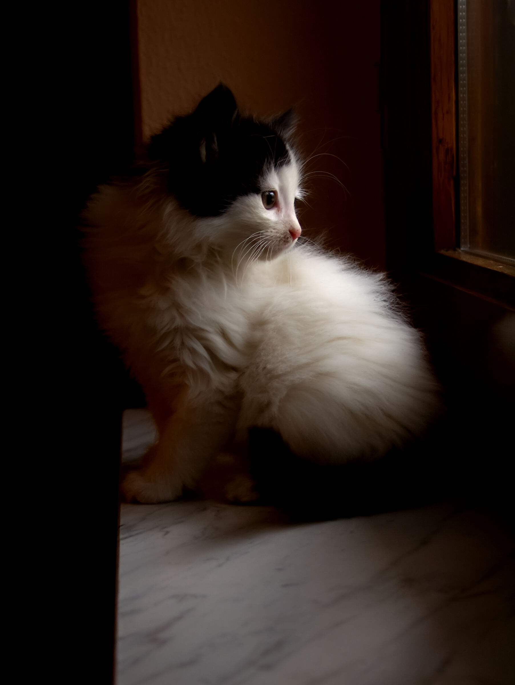 Look from typical uggiosa day