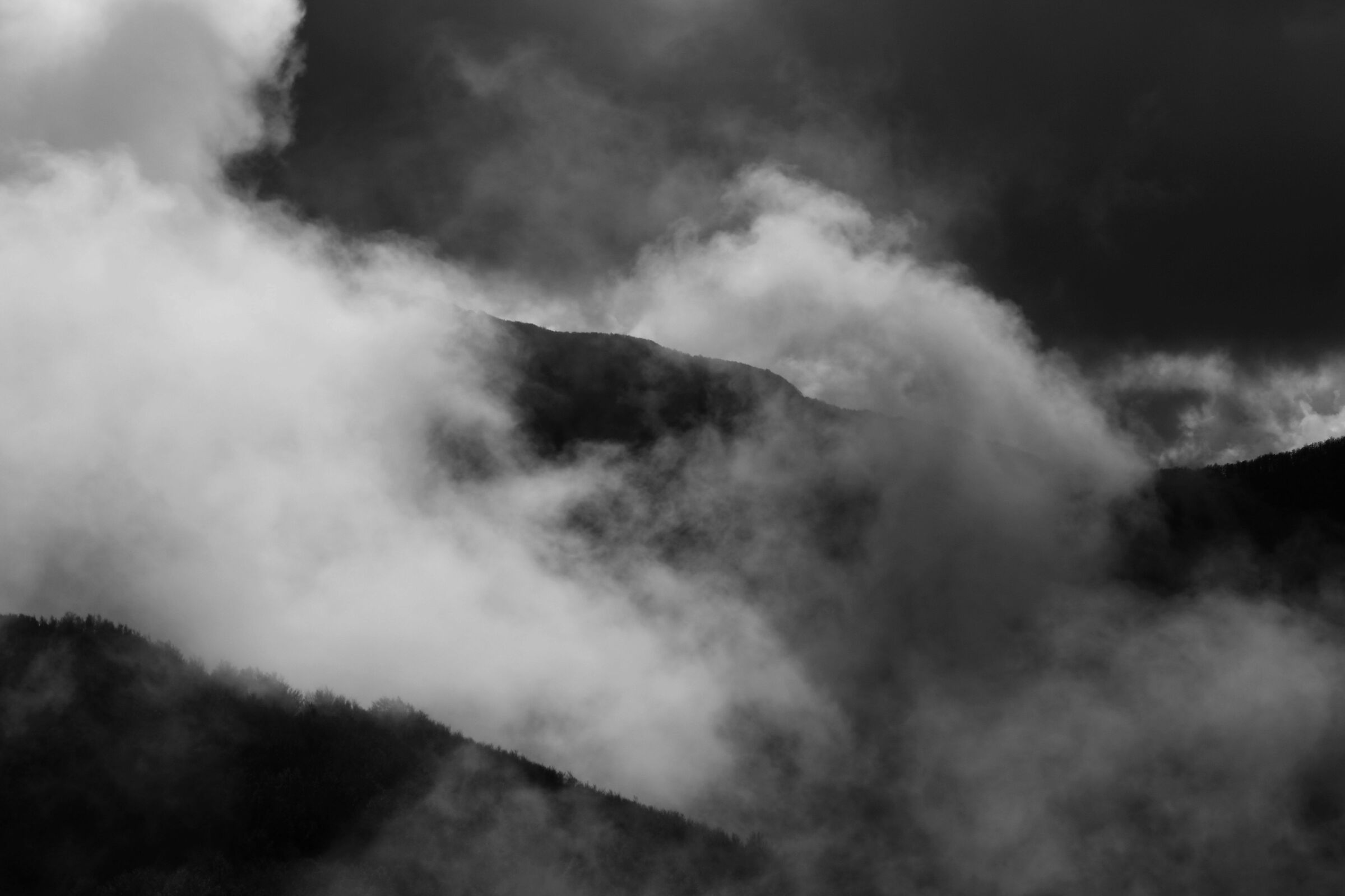 Lonely Chaos