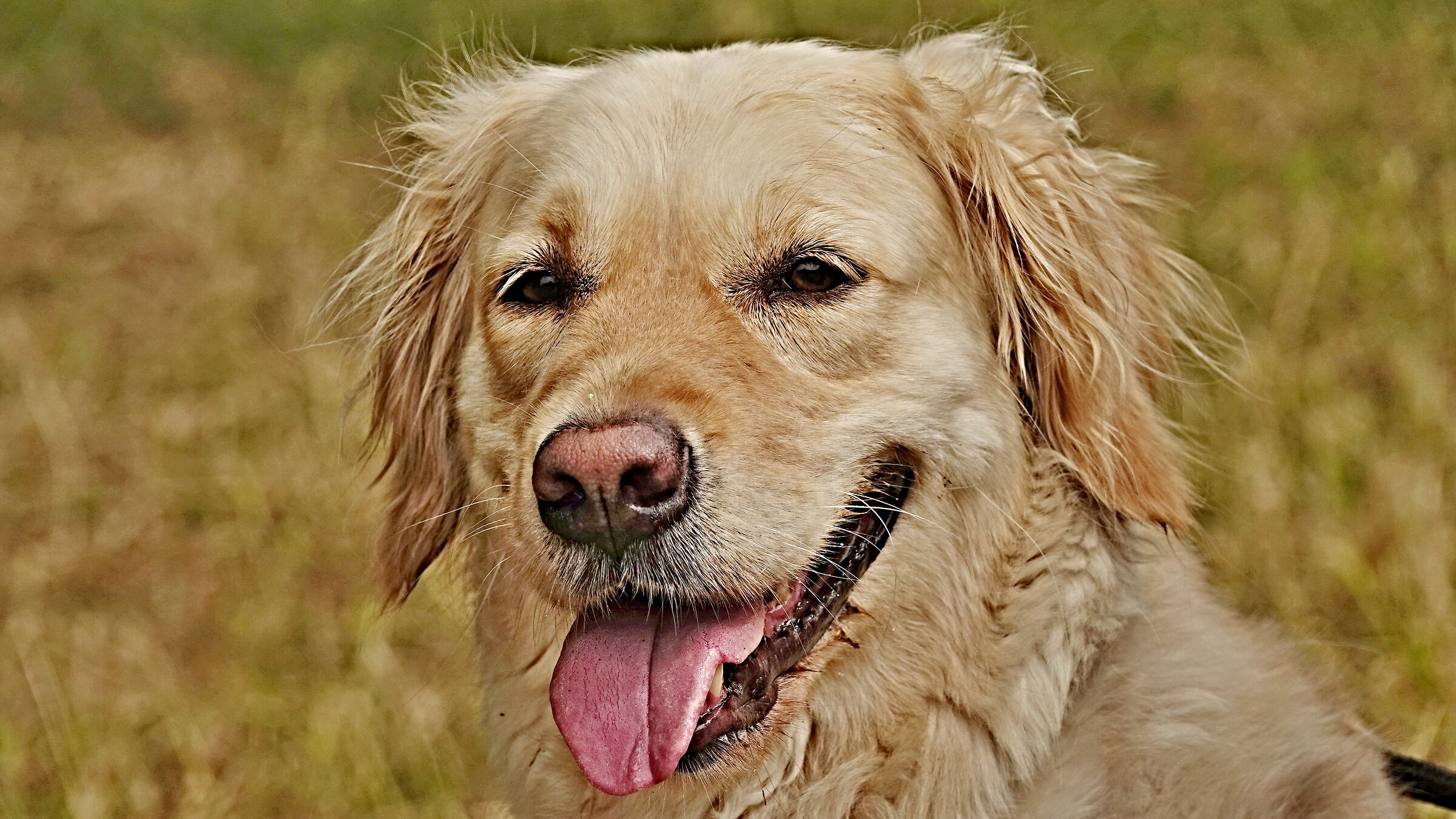 Smile