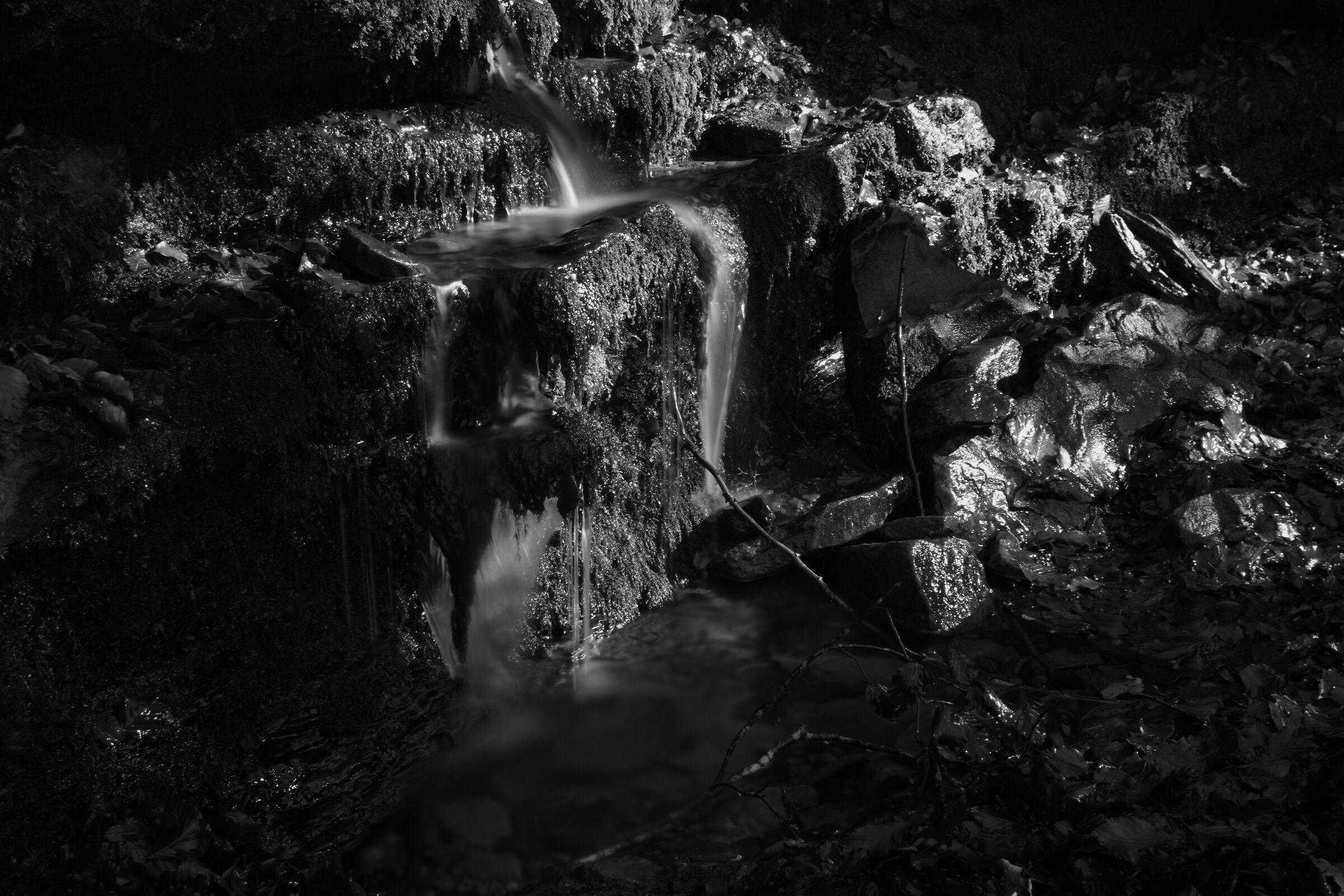 Between Moss and Rocks