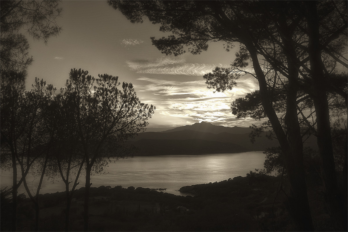 Isola d'Elba b/n