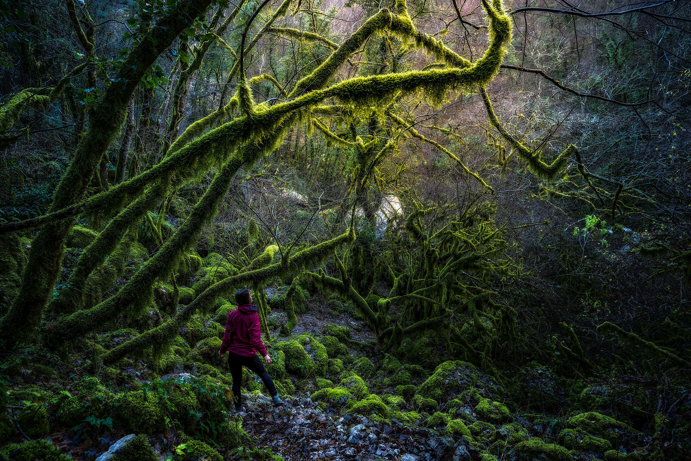 Abyss of the Revotano