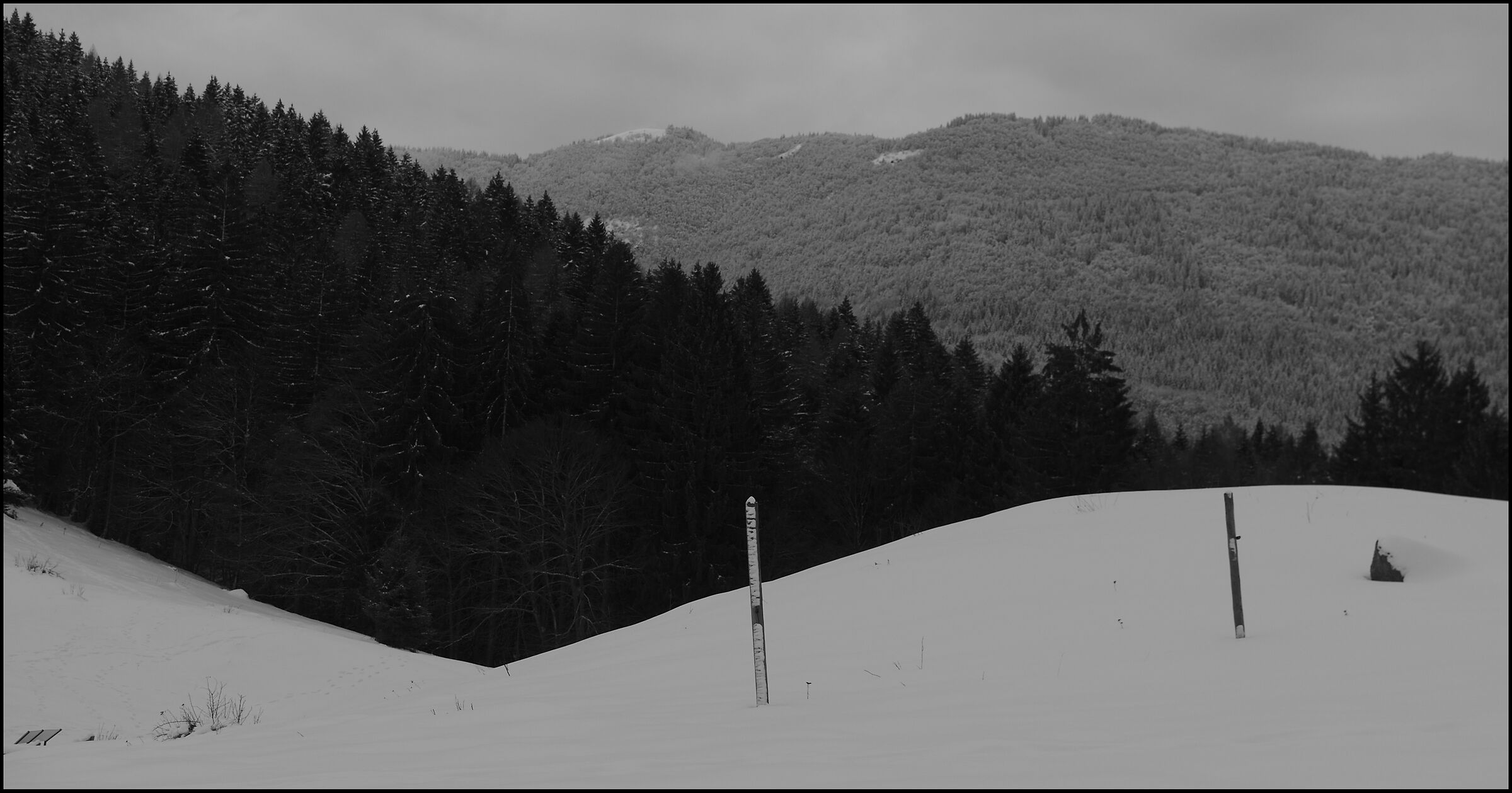prove di bianco e nero 1