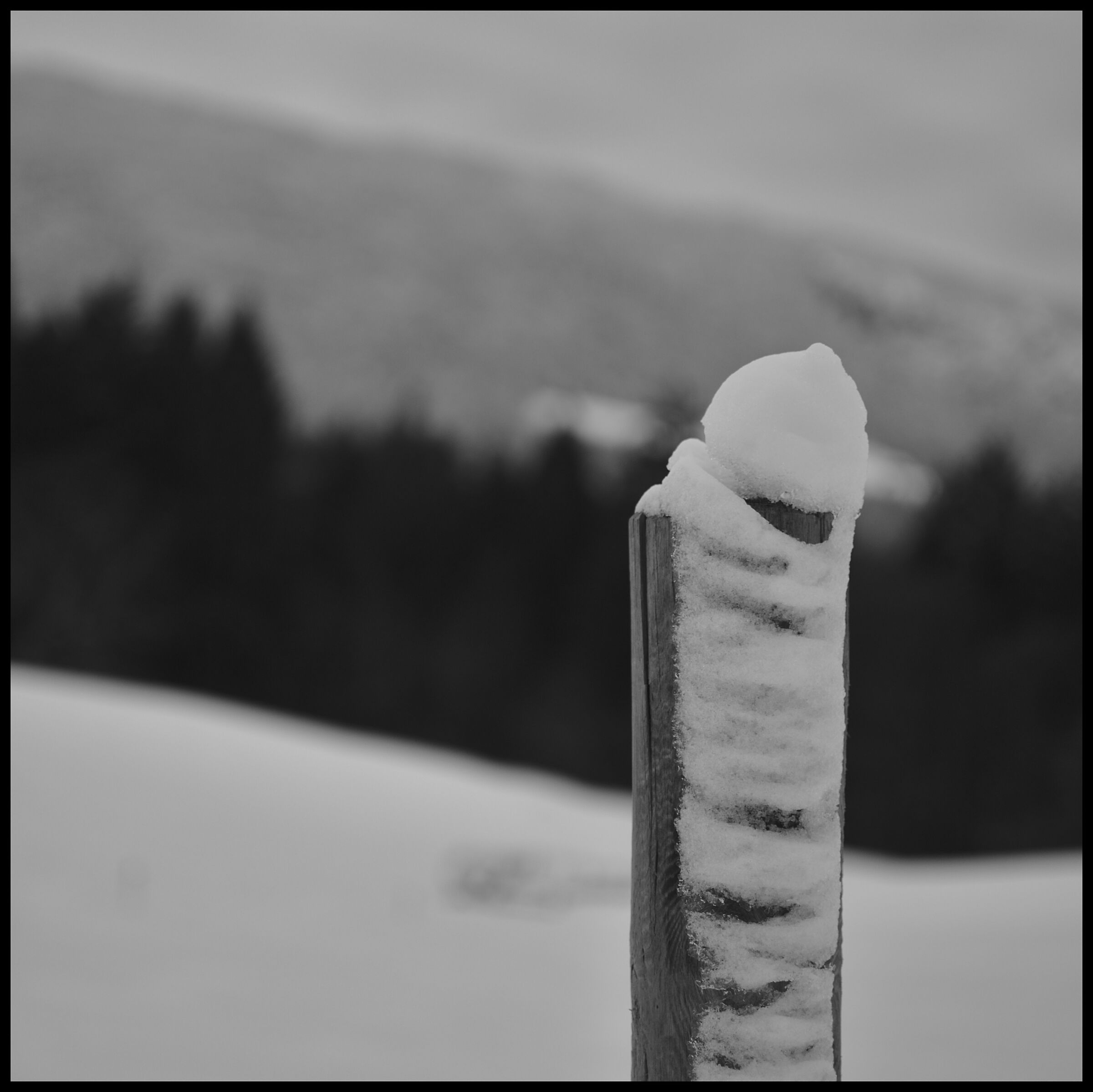 prove di bianco e nero 2