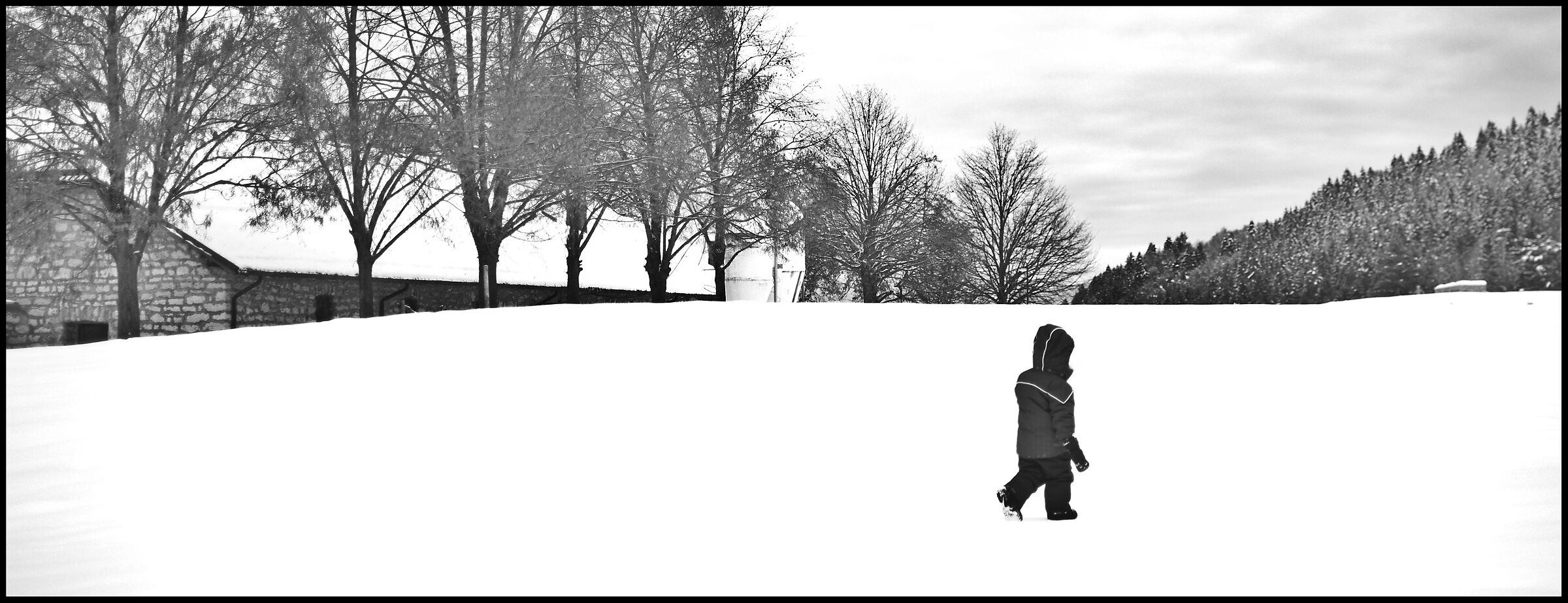 prove di bianco e nero 3