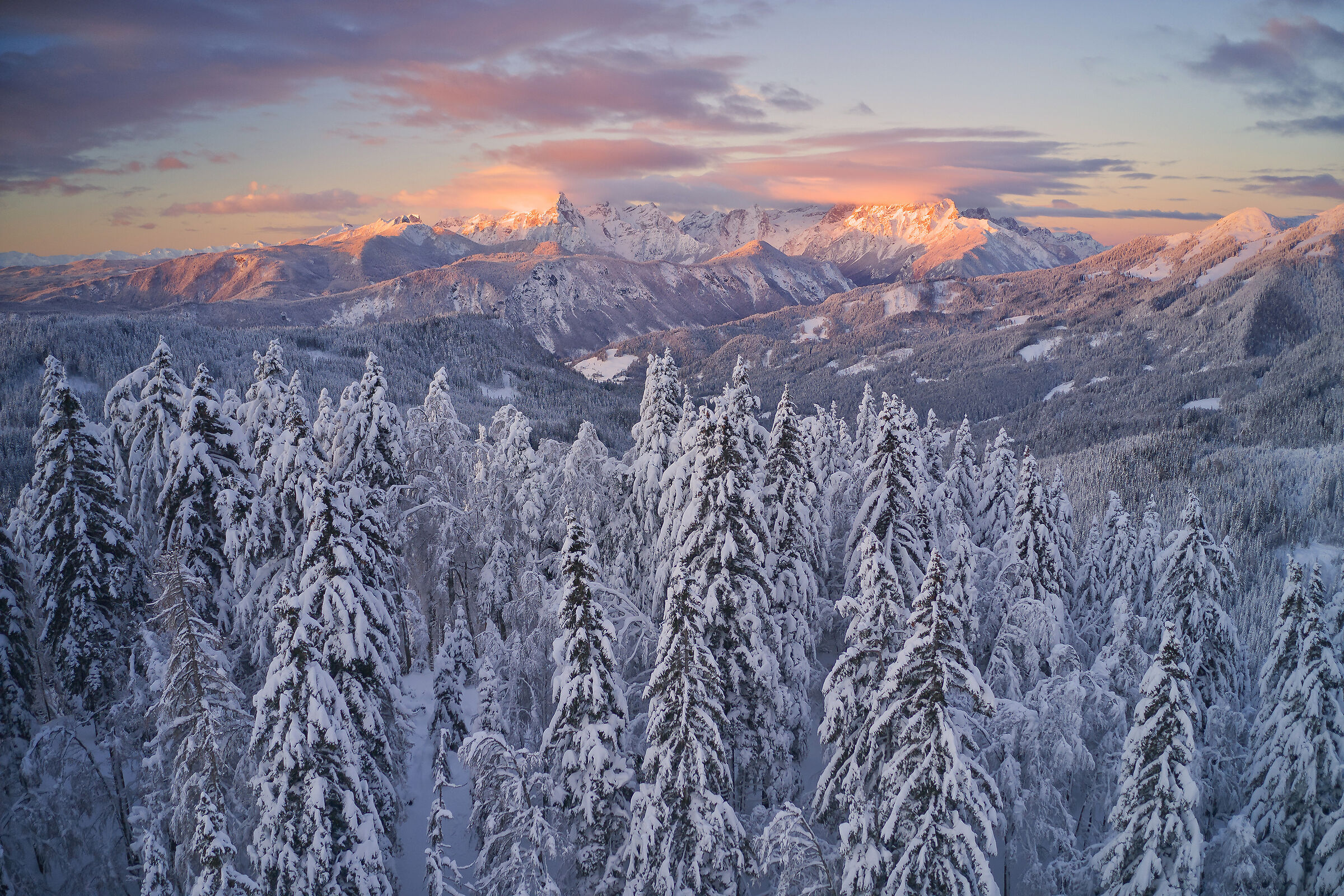 Above the winter forest