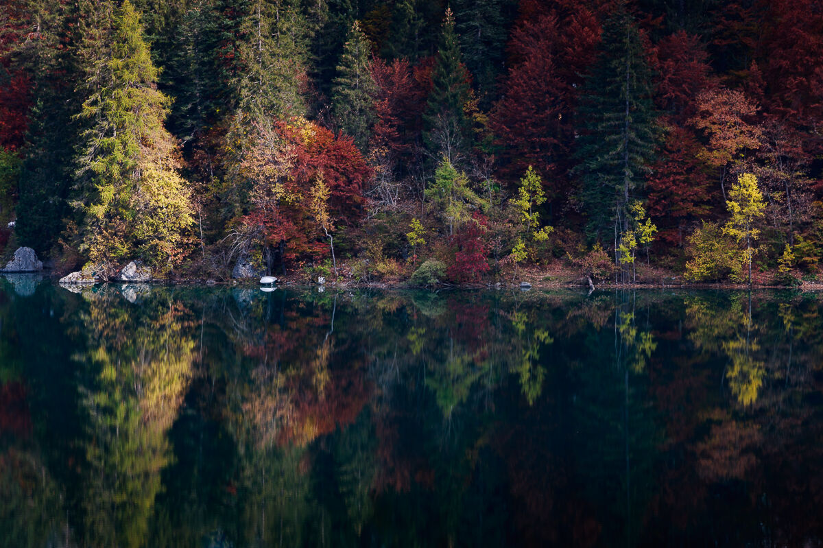 Sinfonia d'autunno ...