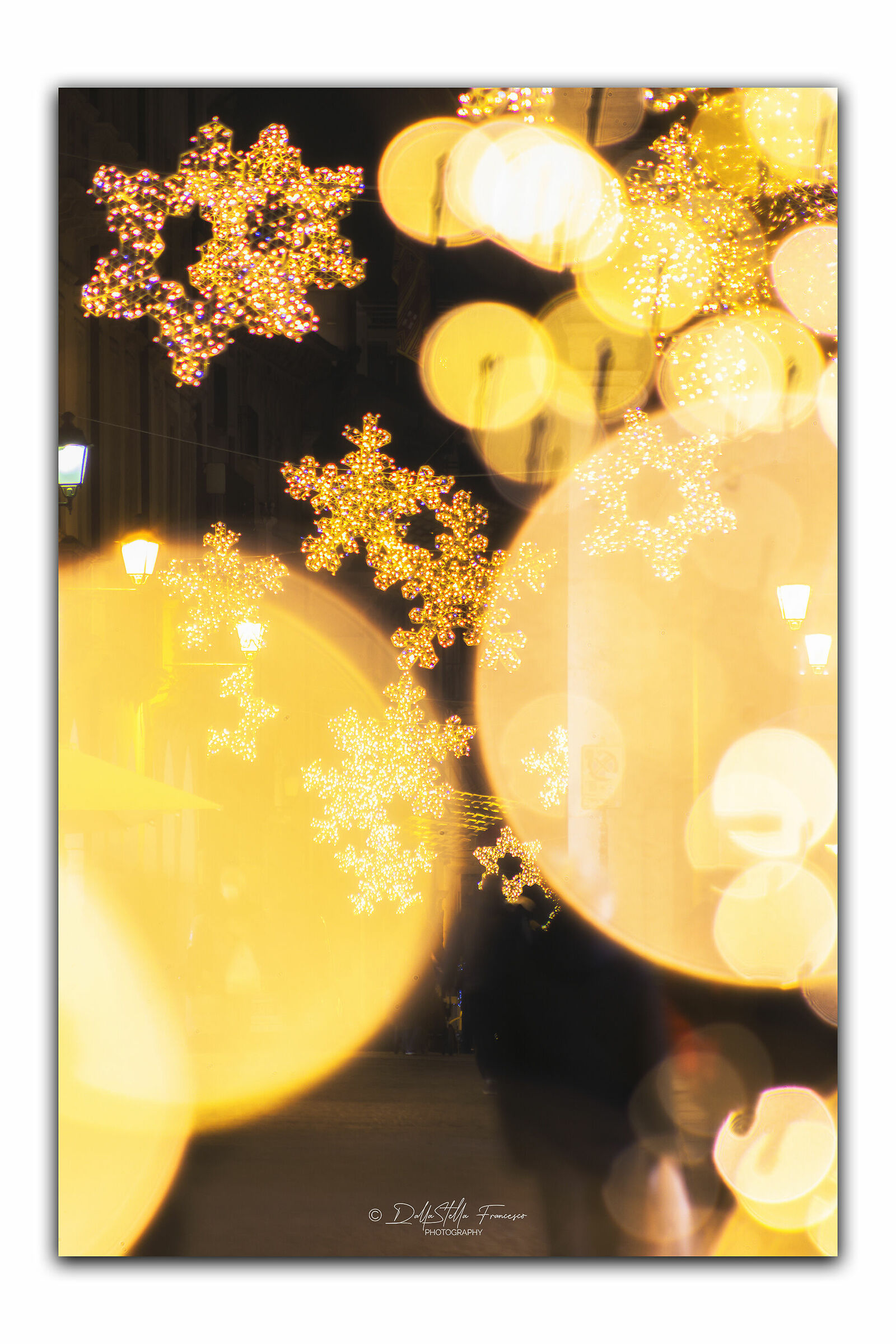 Stelle in Corso Palladio