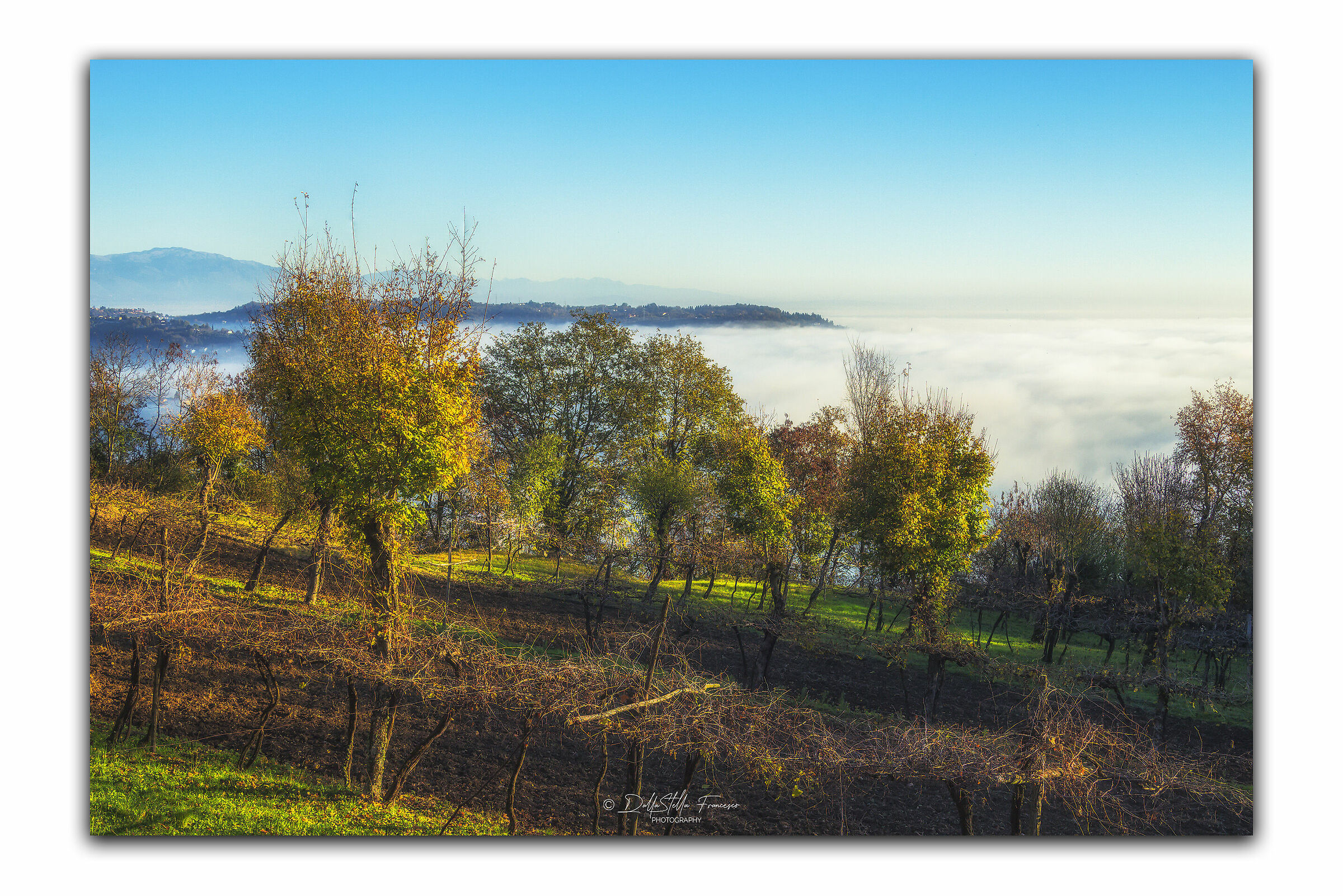 Above the fog, the clear