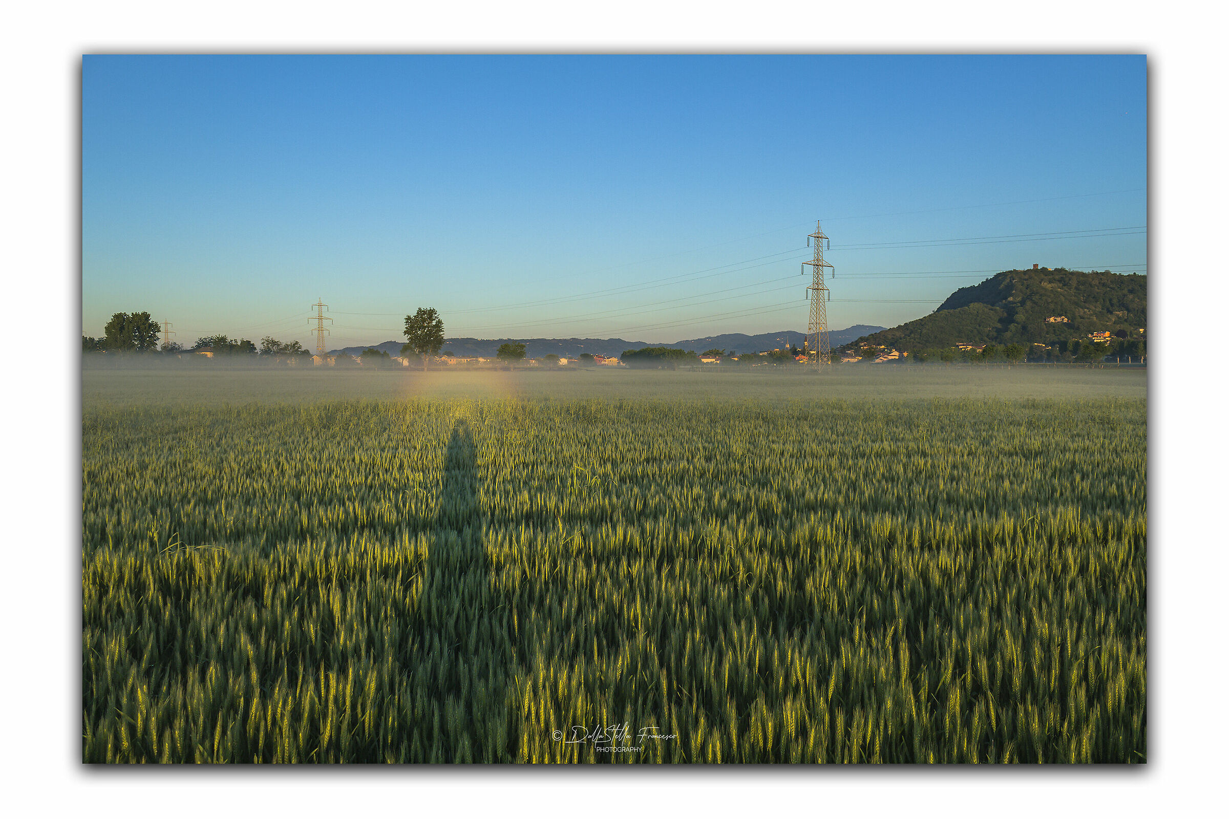 Brocken spectrum at ground level
