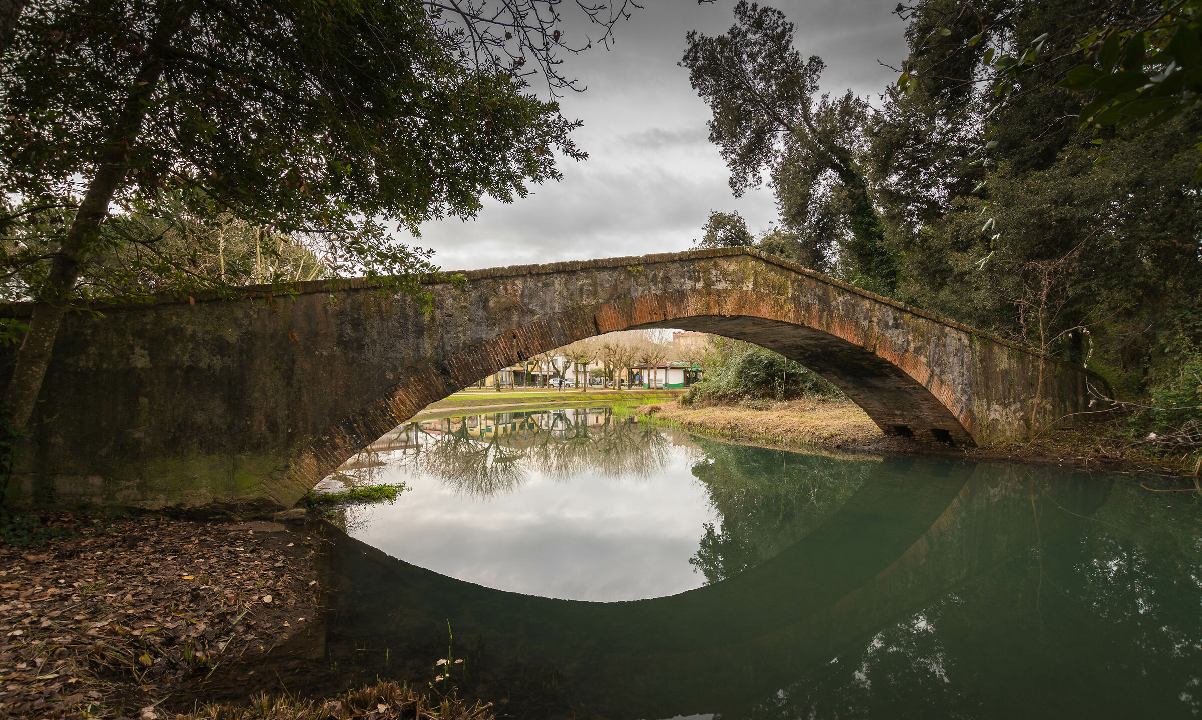 "Il Ponte del Principe"