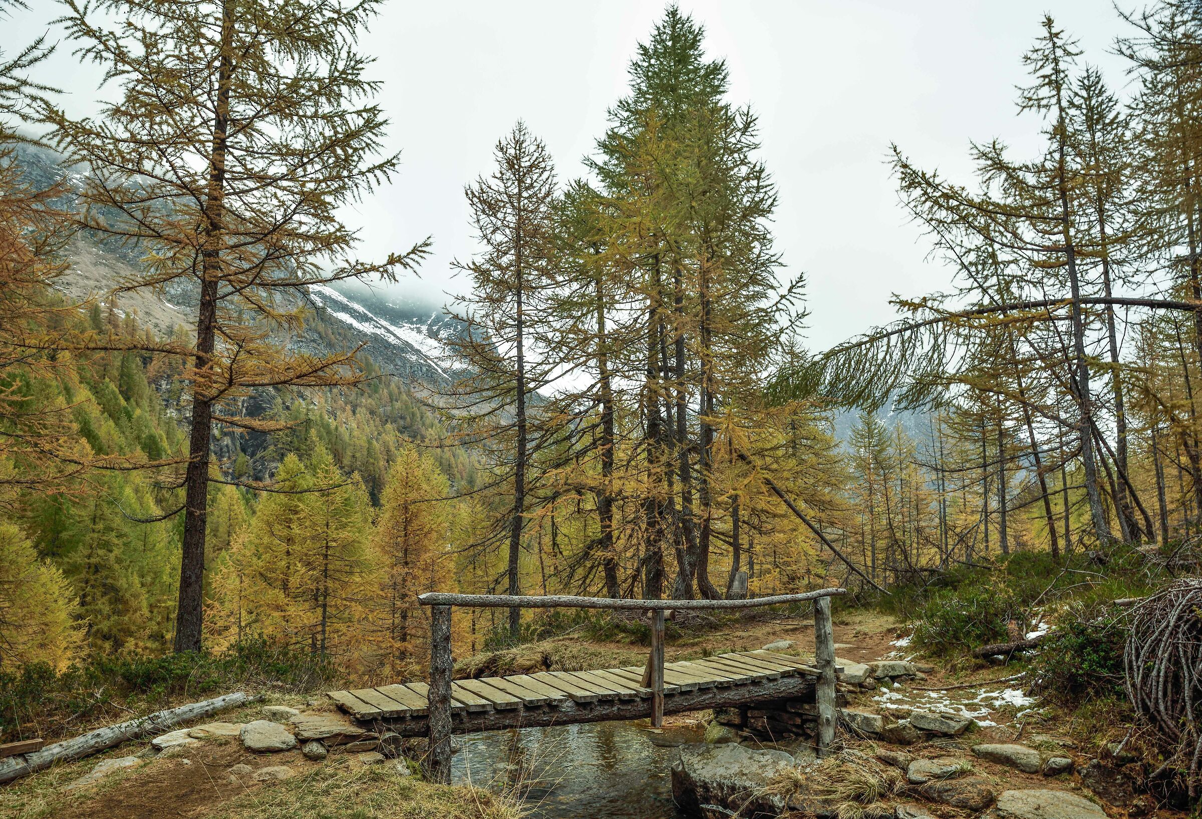 sul sentiero per il Lago Nero