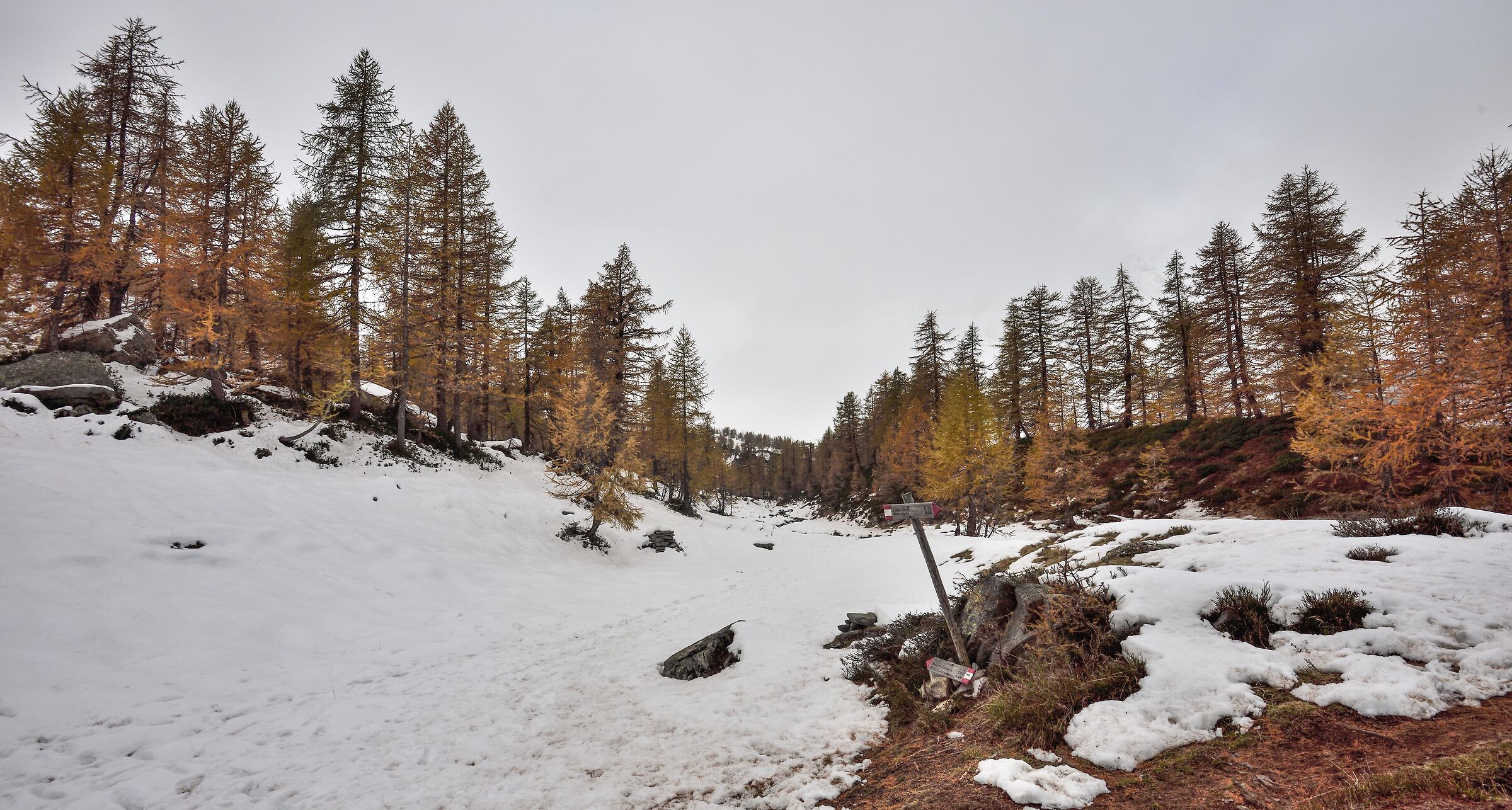 bivio nei pressi del Lago Nero
