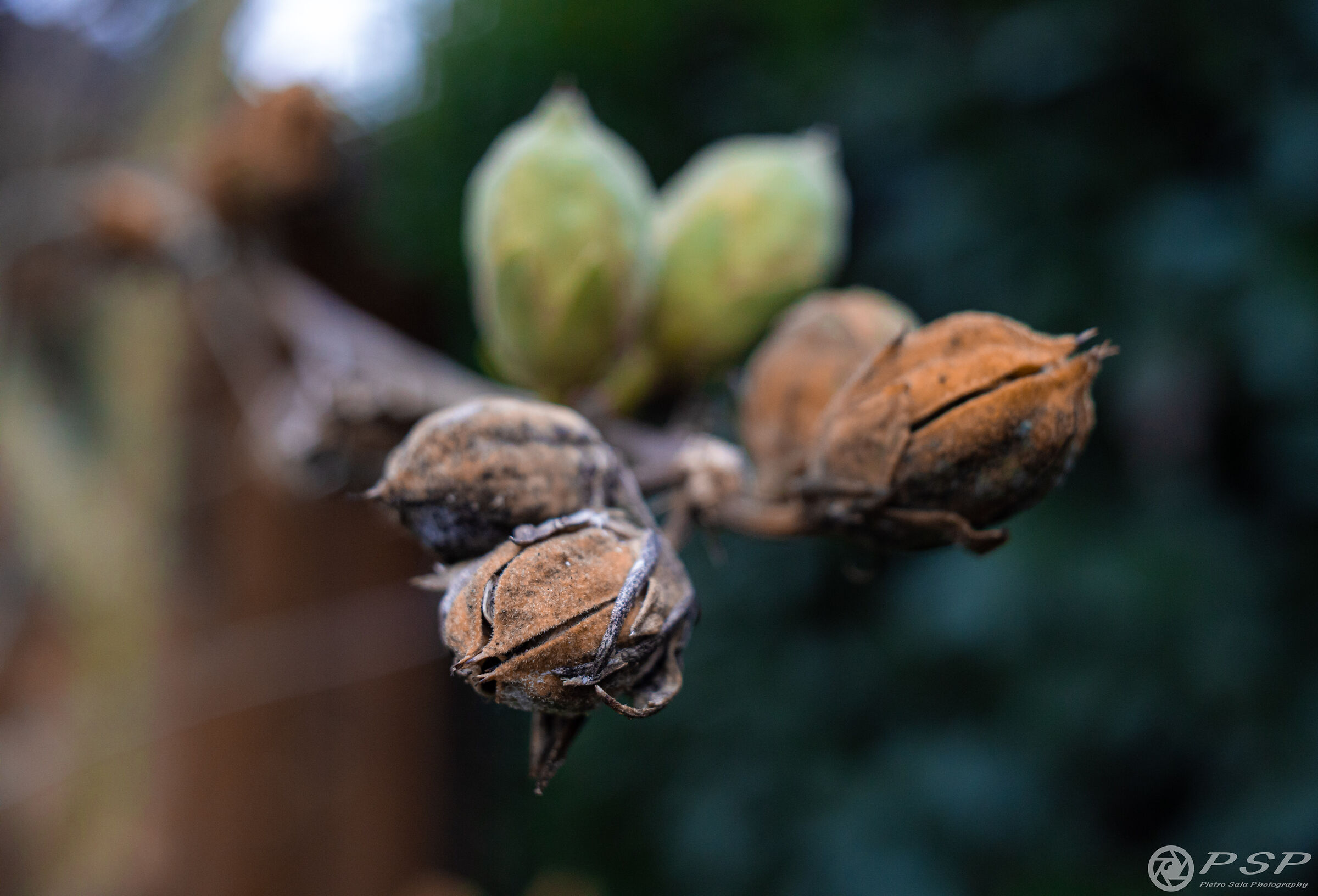 In gruppo contro il freddo