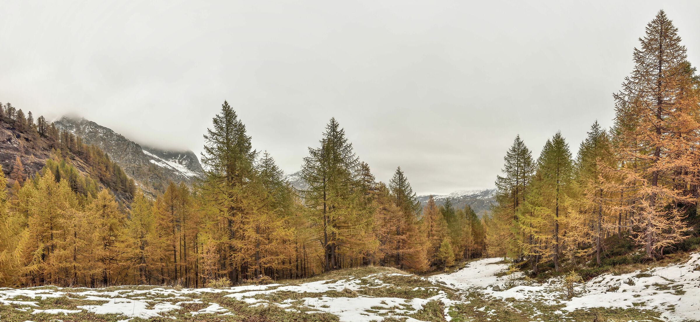 nei pressi dell'Alpe Misanco