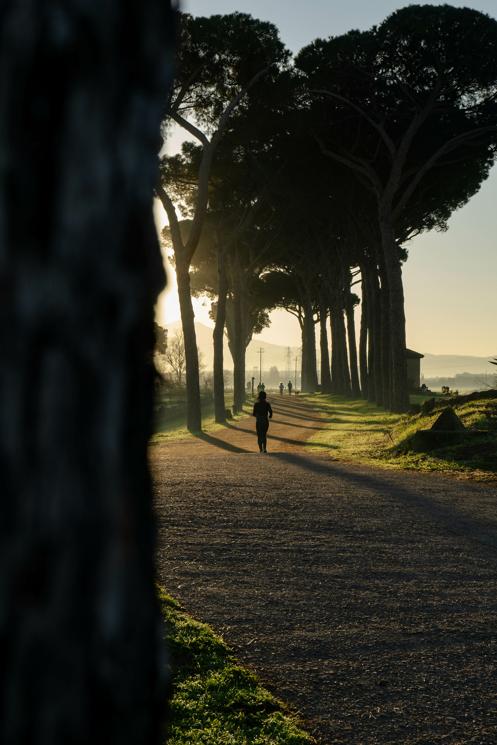Runner