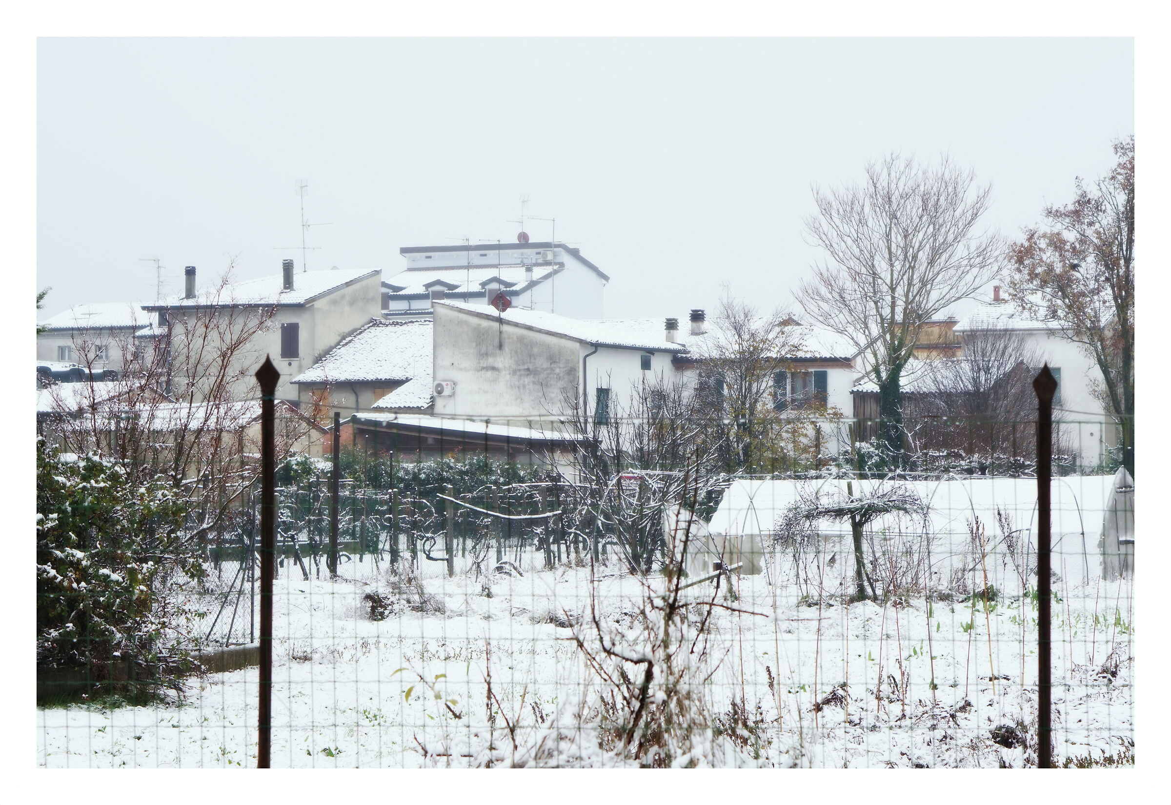 Winter in my country