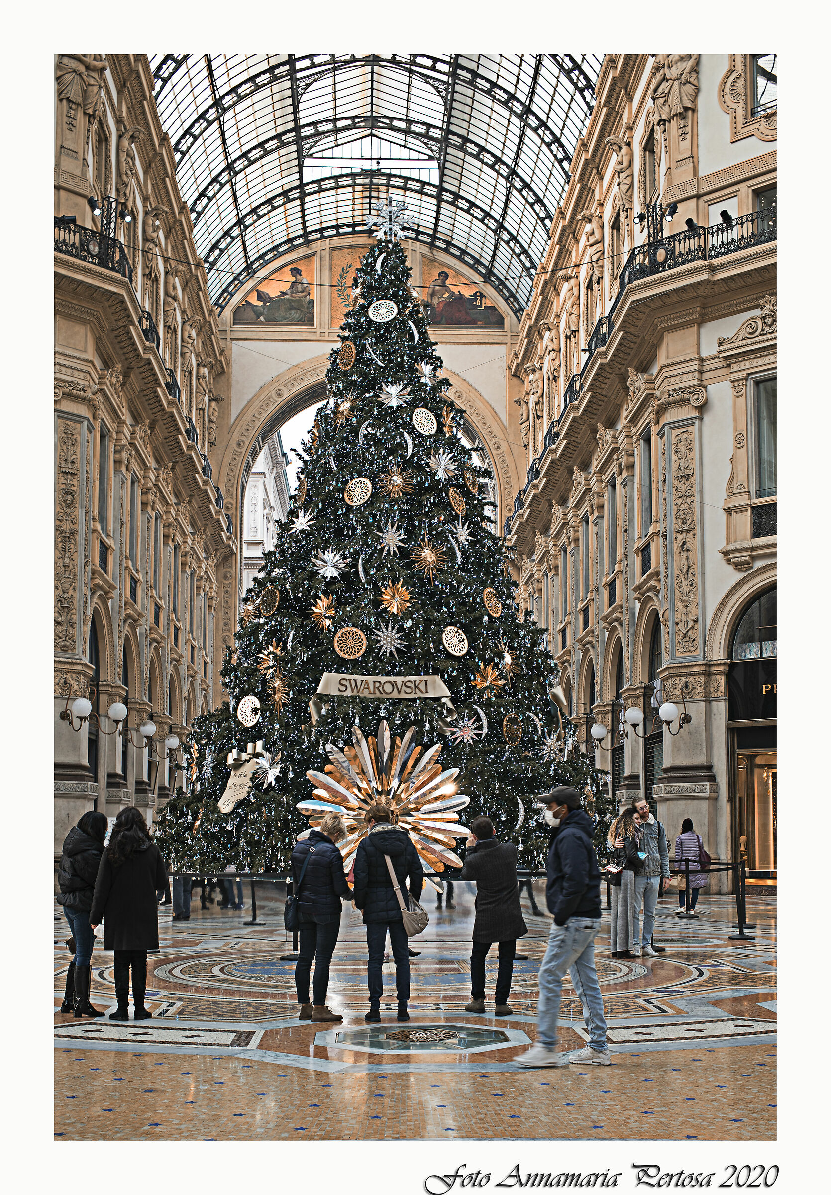 Stamattina in Galleria...