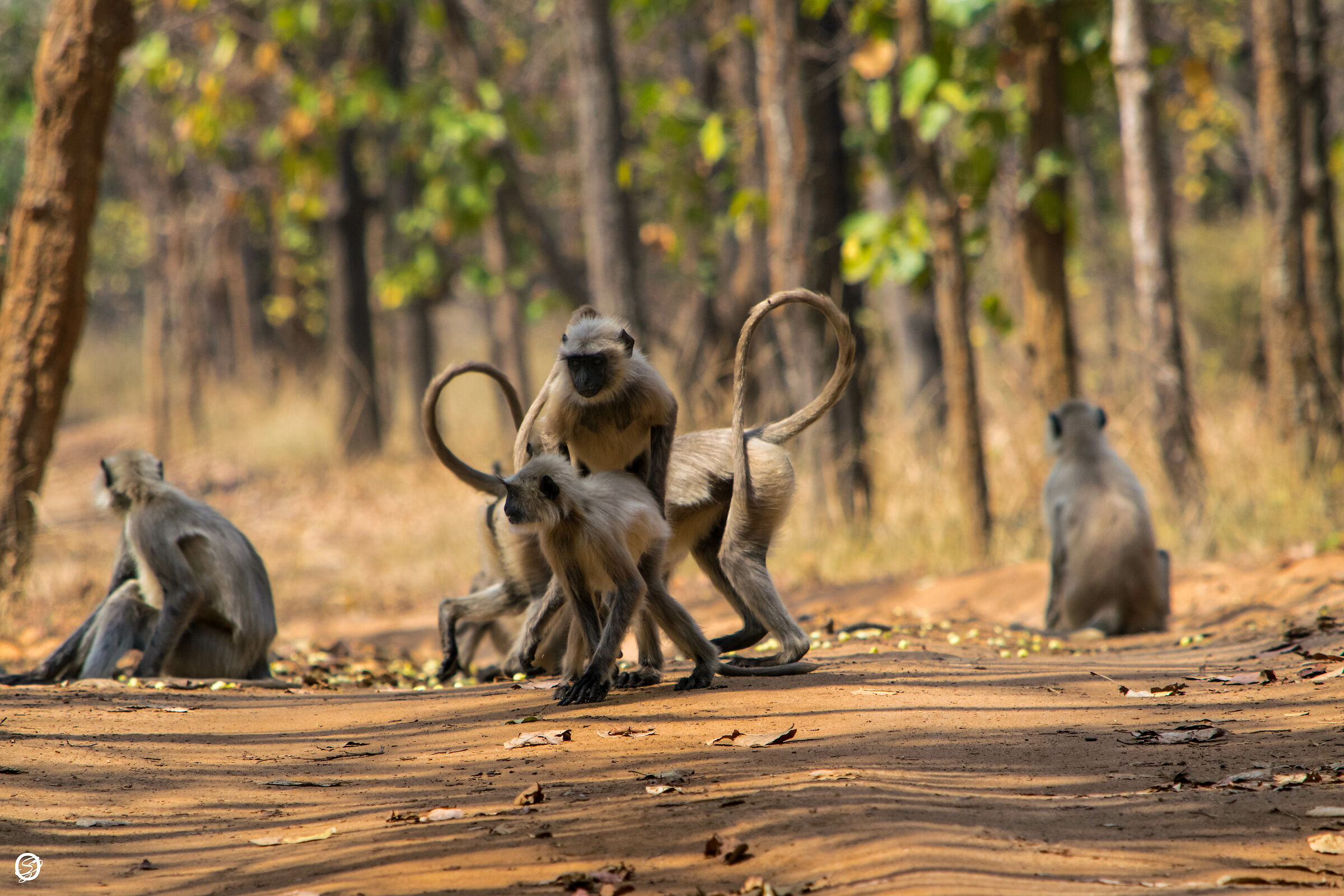 we're having a good time