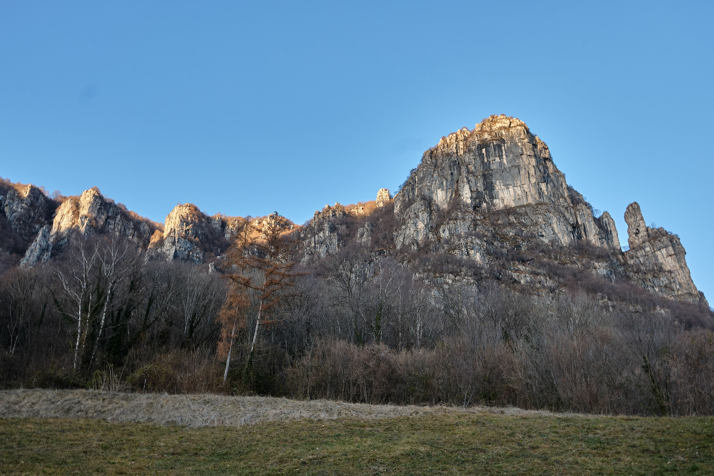 Finger dones from square