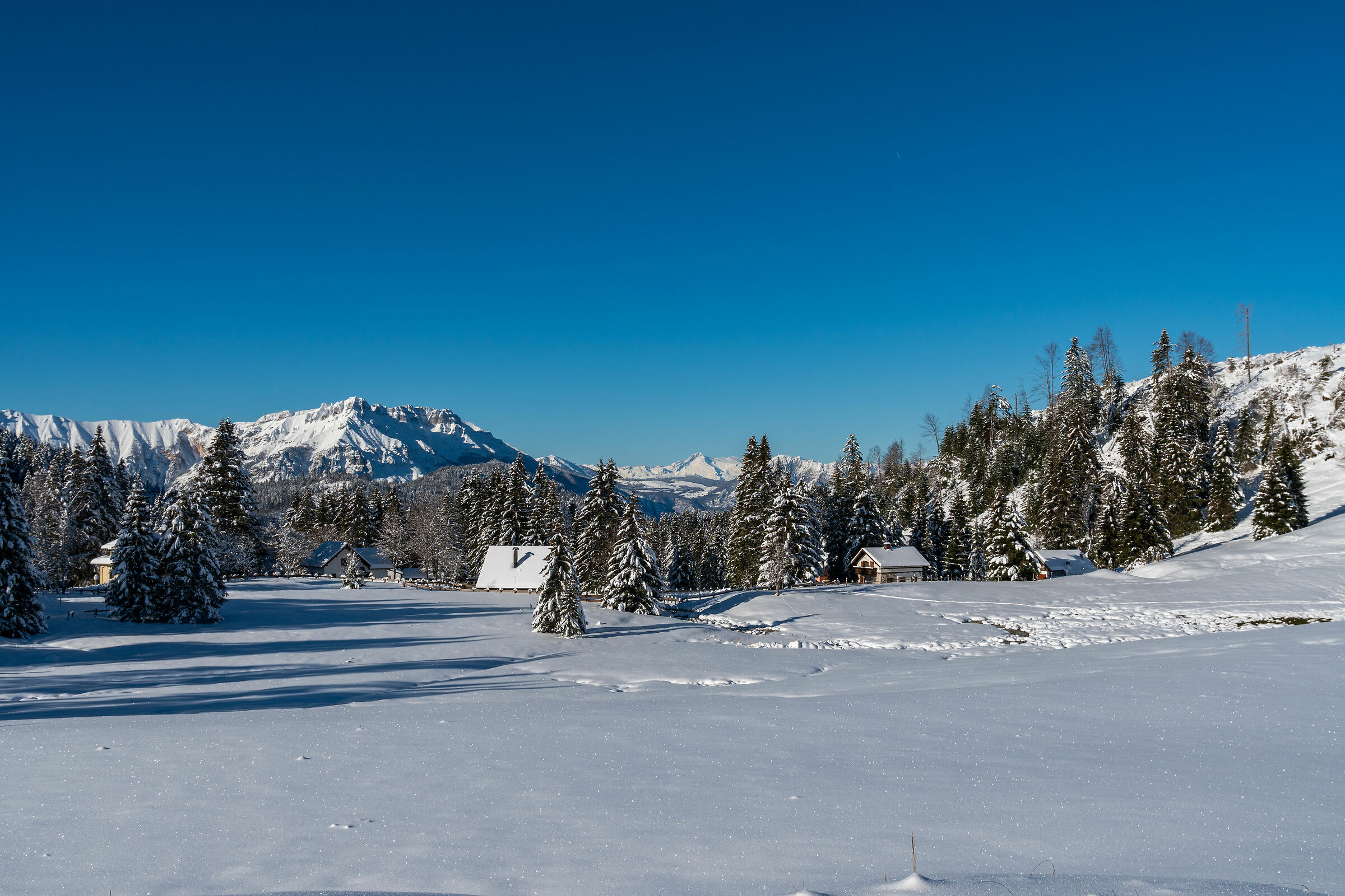 The candid manto all covers