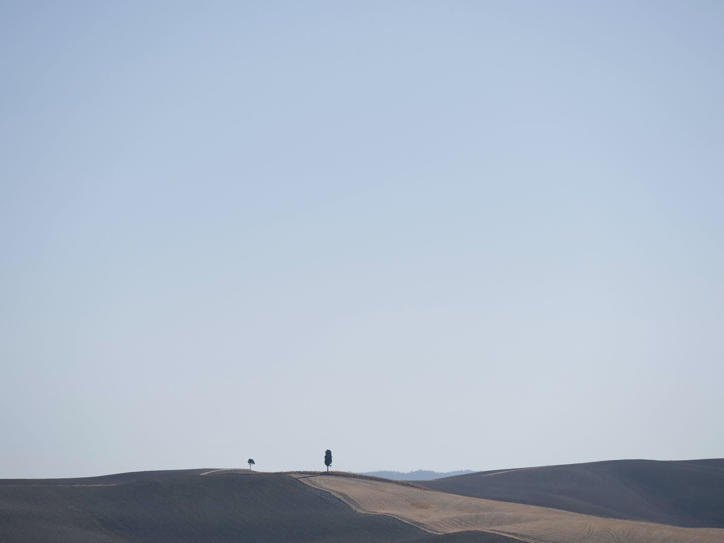Crete Senesi