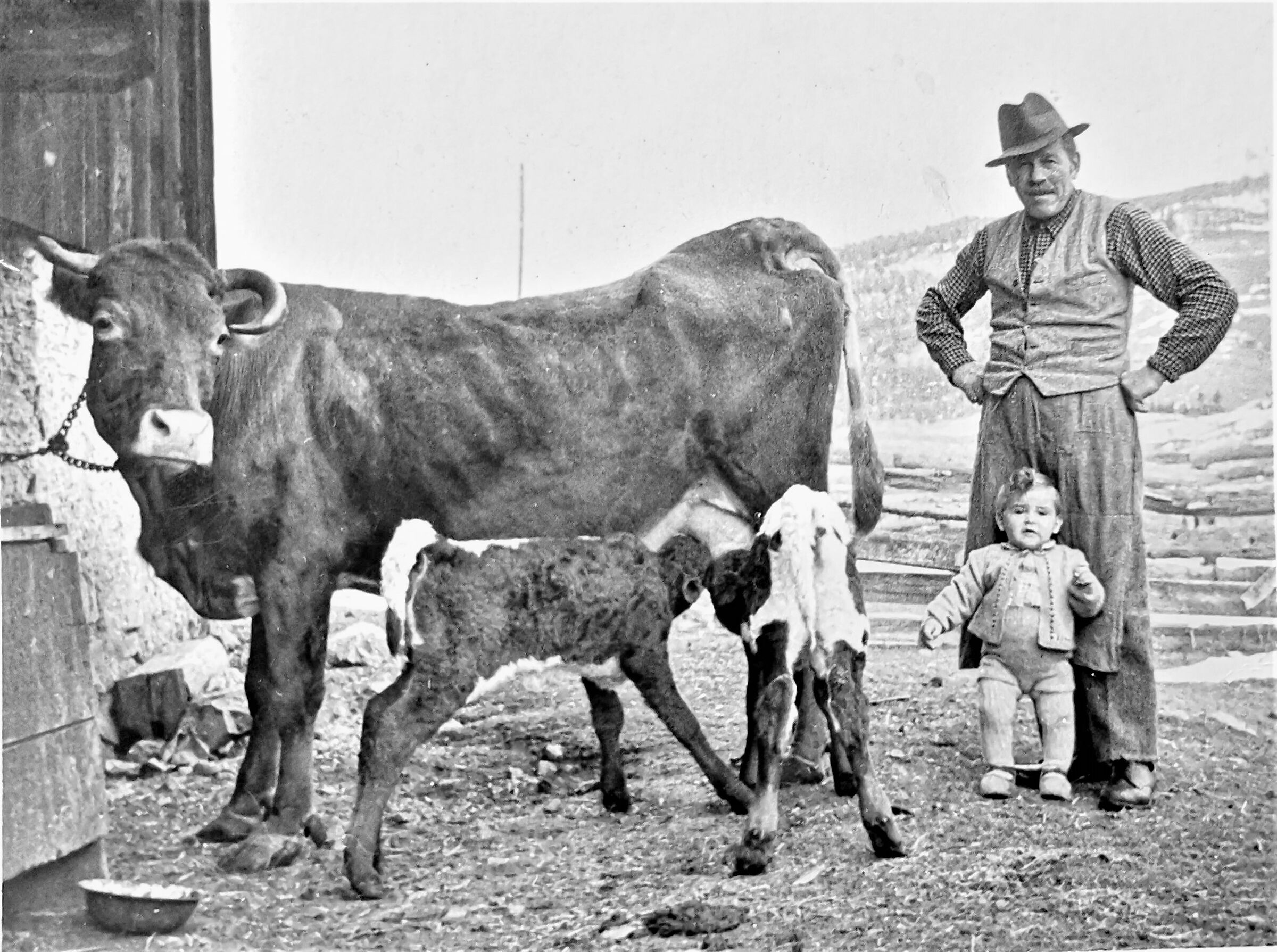 Rogue nosralgia - 27 -