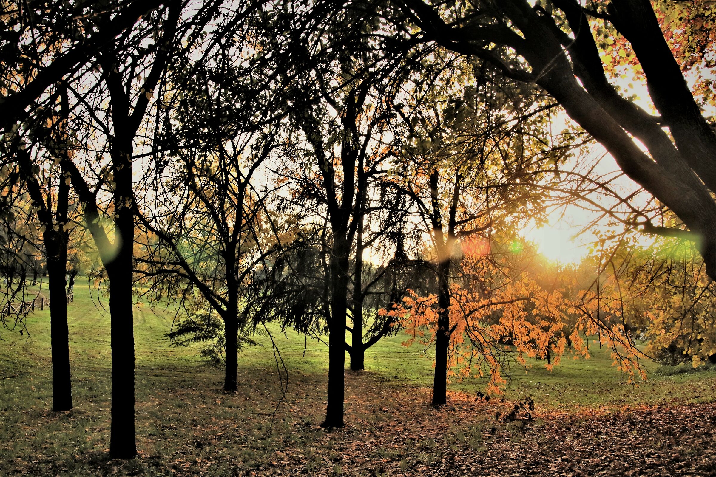 "Afternoon reflection"