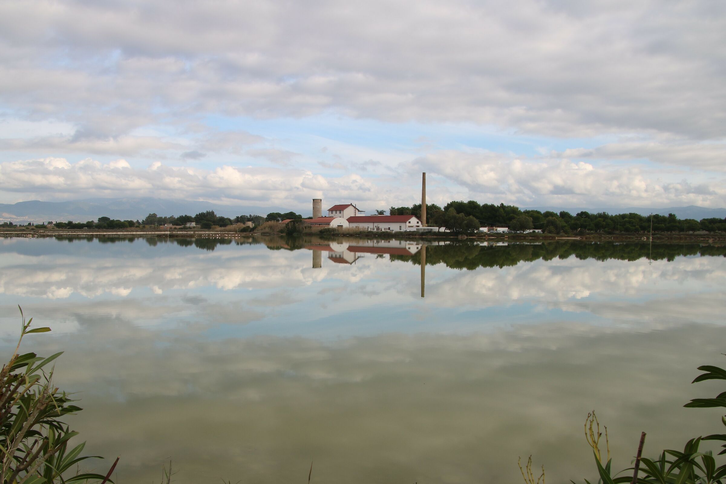 Le saline