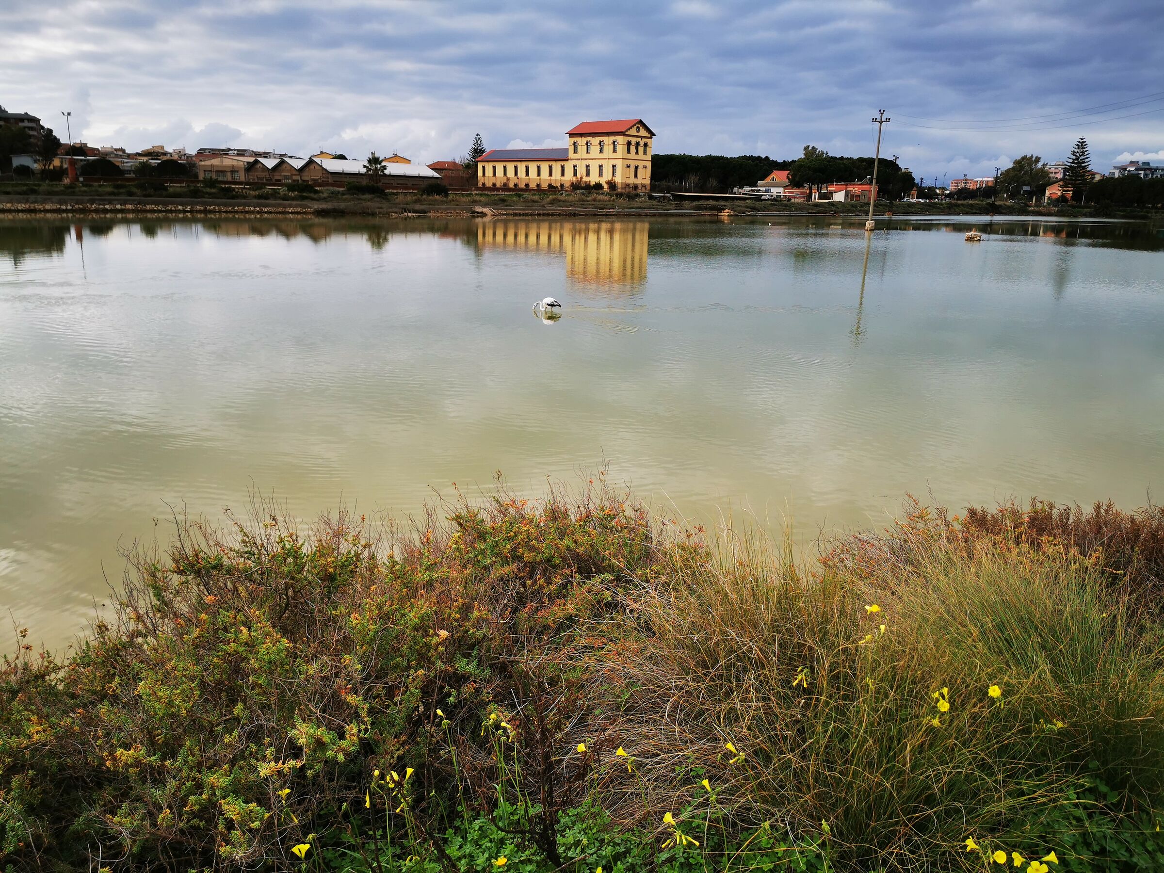 La fauna delle saline di Molentargius CA