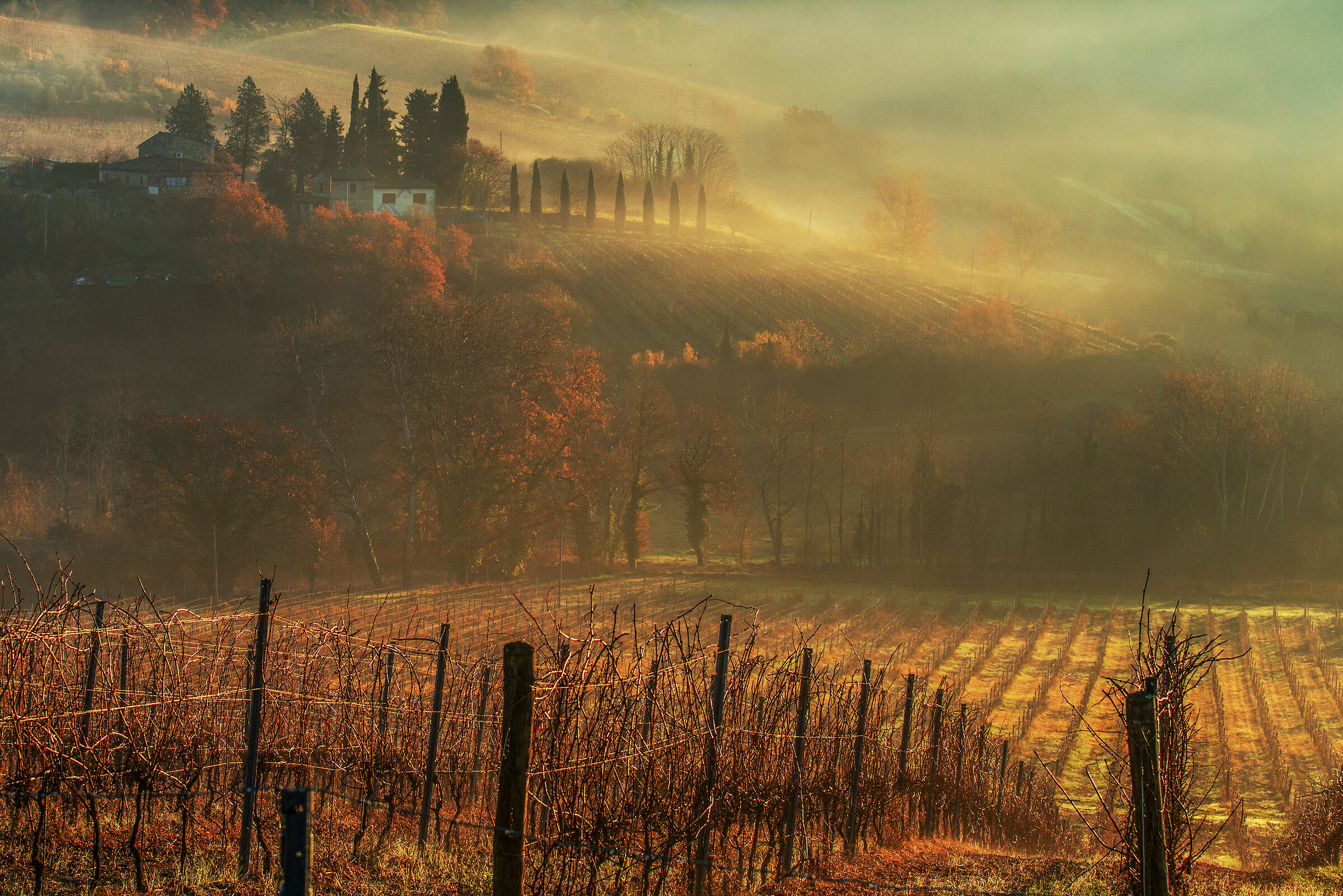 una mattina d'autunno...