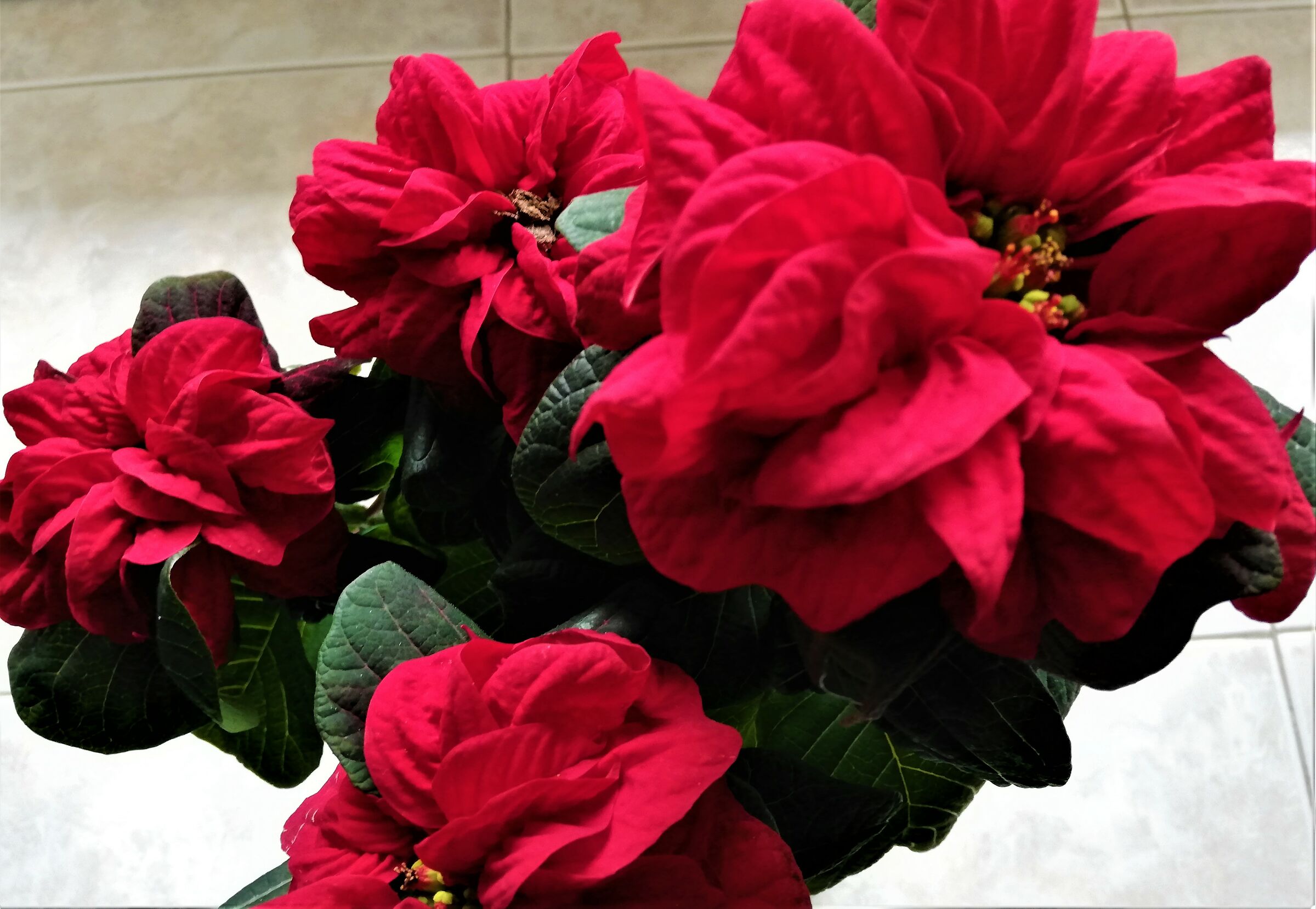 buone feste a tutti...