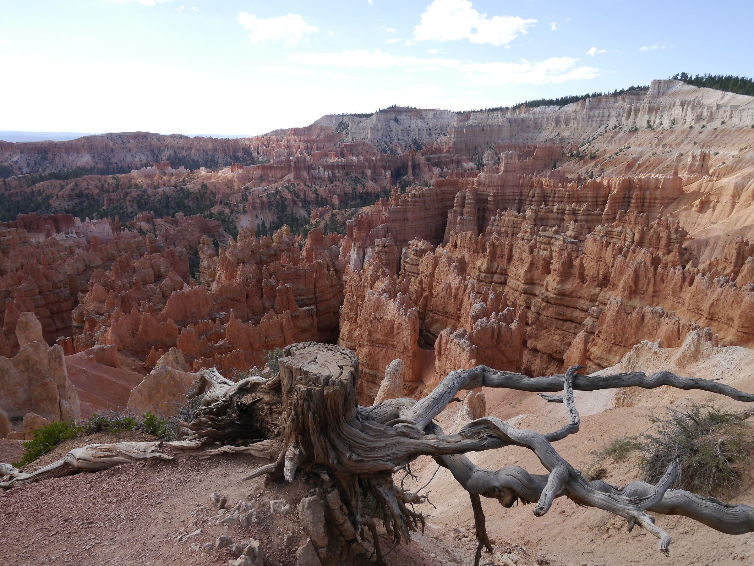 Bryce Canyon