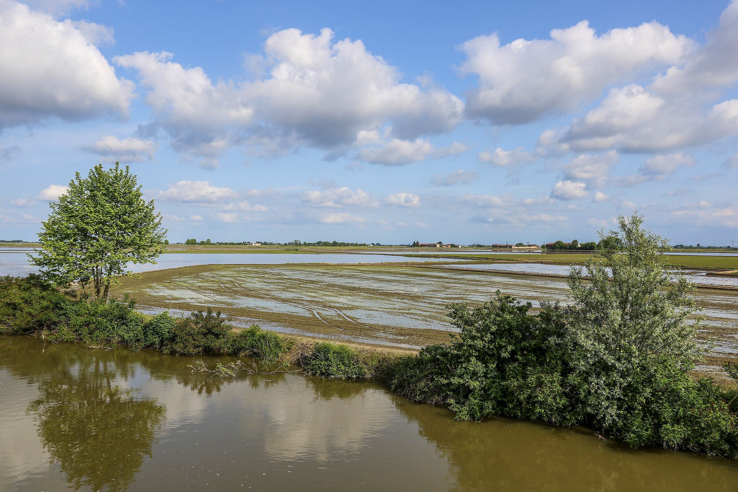 Vercellese, terre d'acqua.