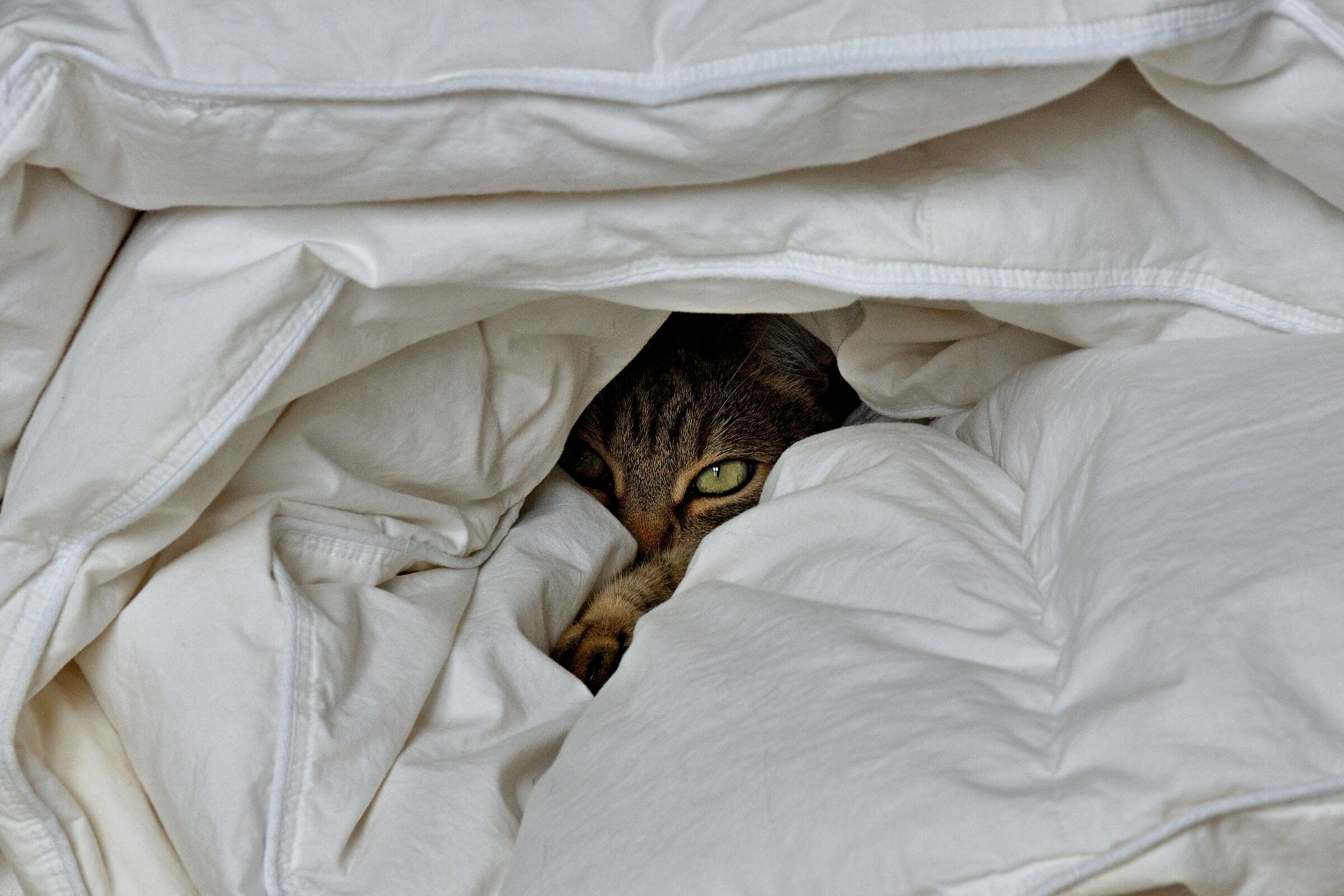 Bé....che fate lì fuori al freddo?