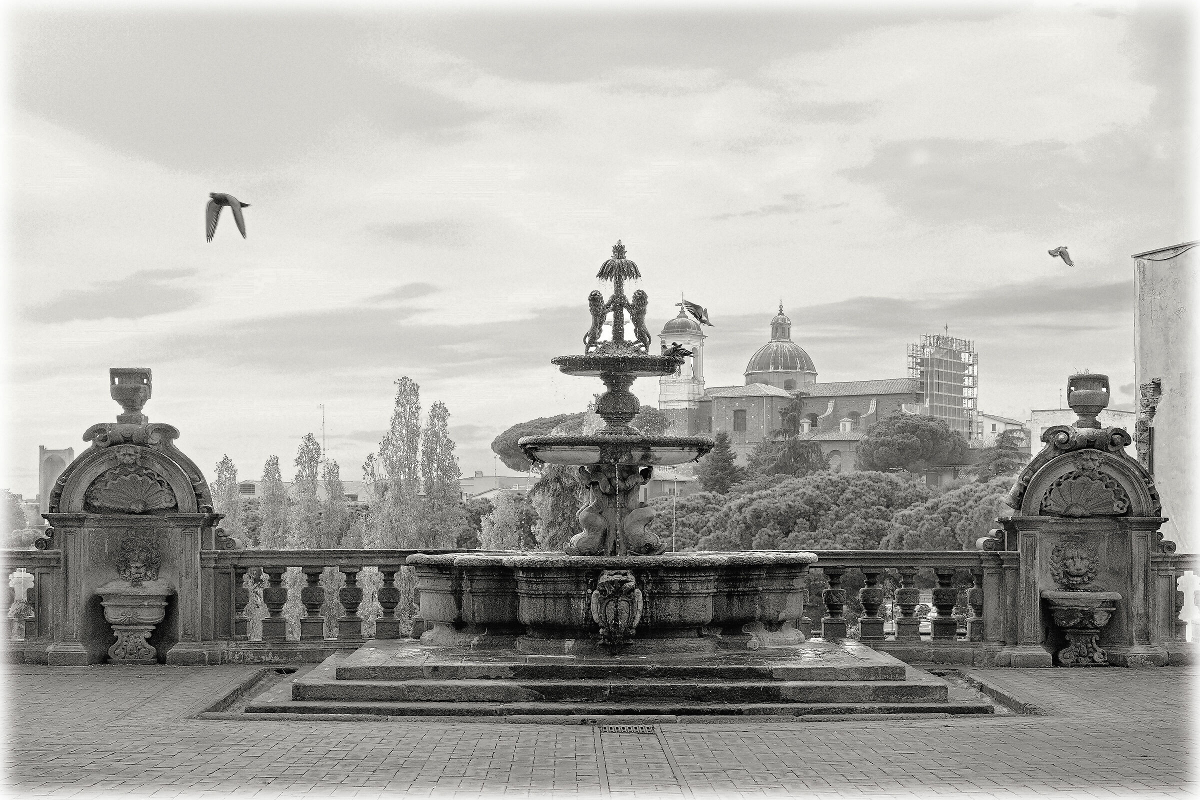 Fontana del cortile di Palazzo dei Priori - Viterbo