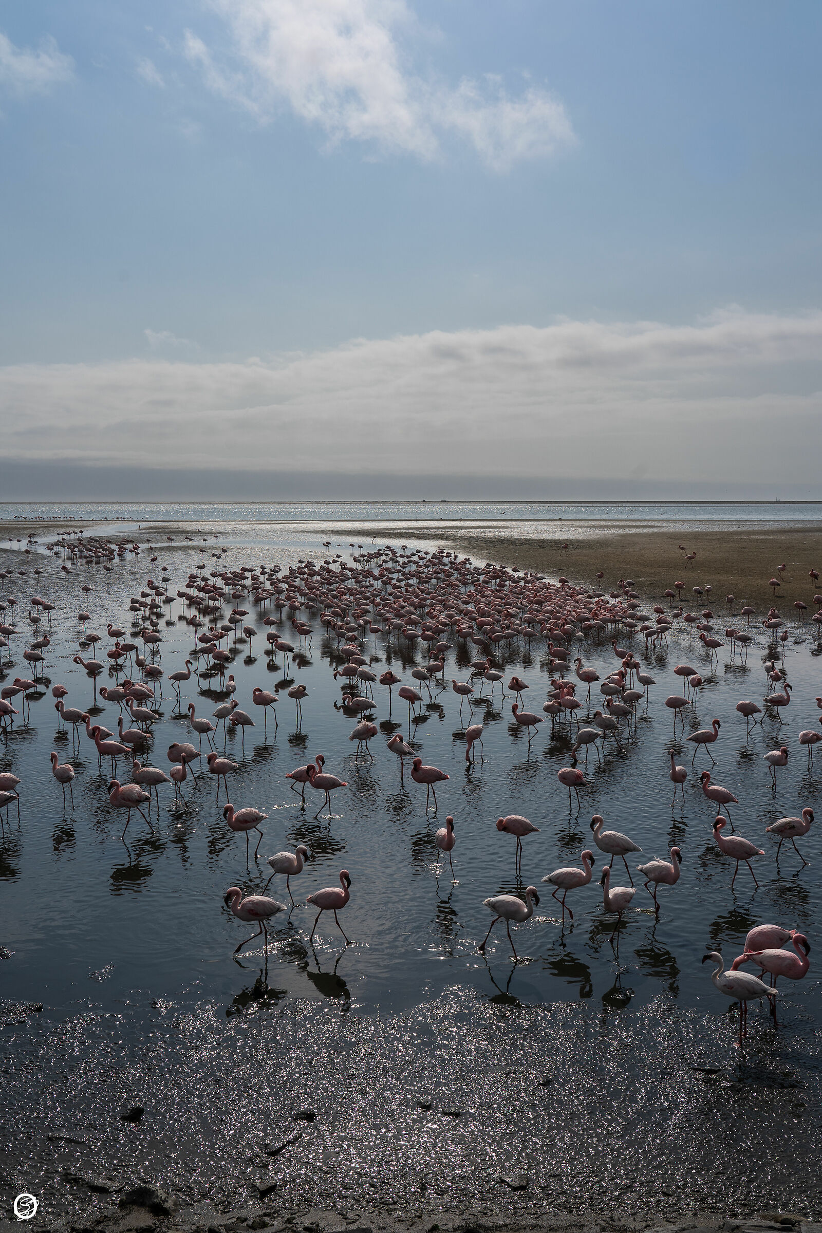 assembramento a Walvis Bay