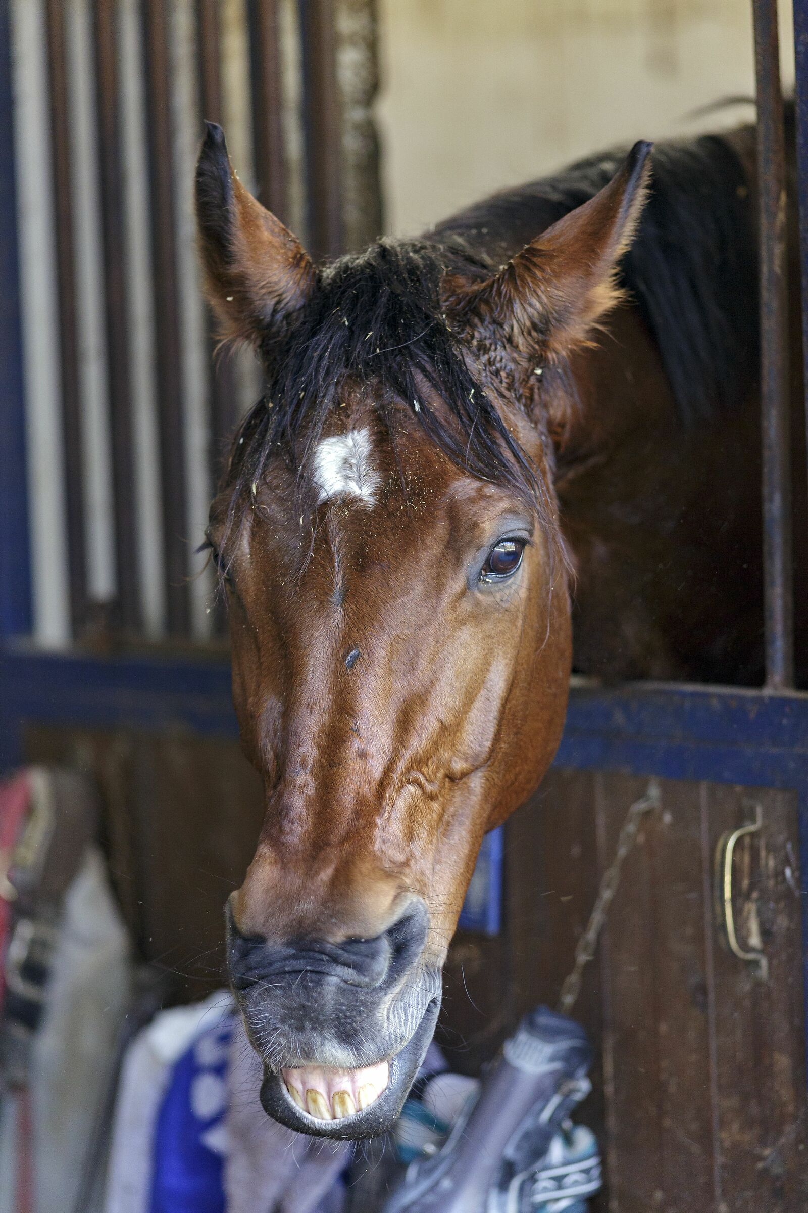Can I photograph you?