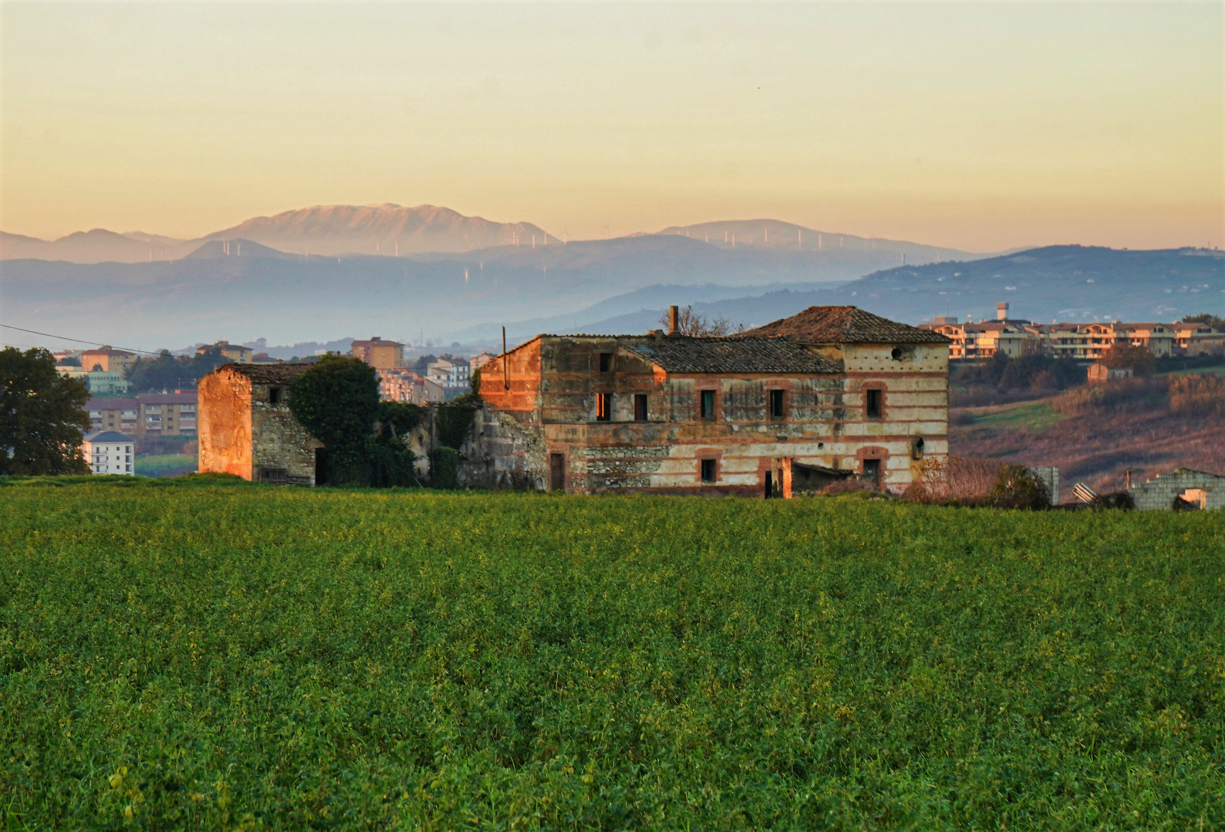 Archeologia agricola