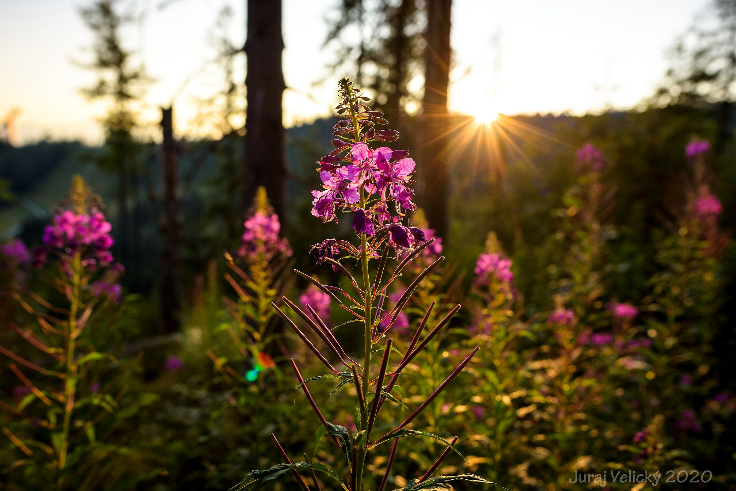 Untitled Photo