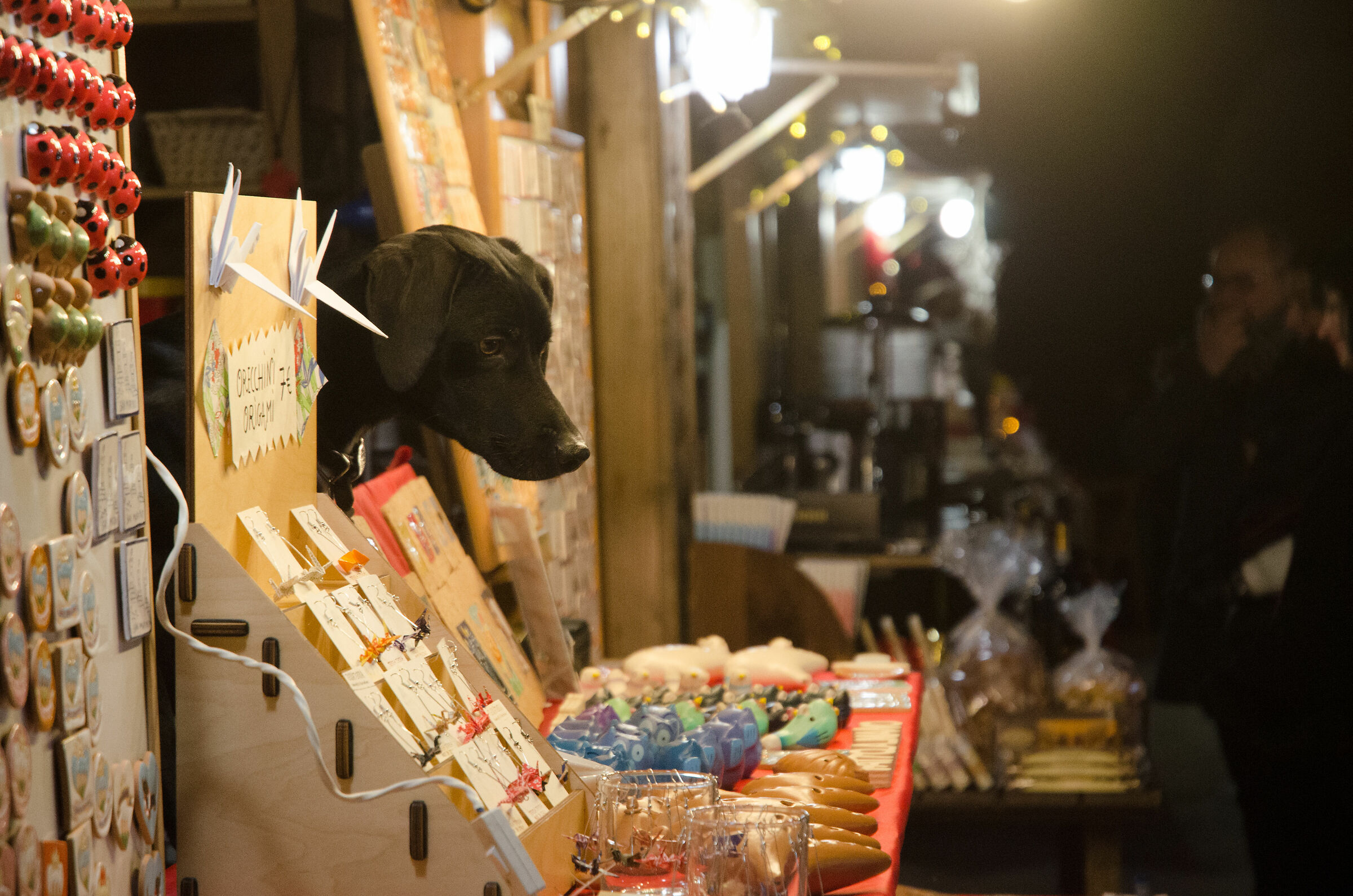 Un cane di venditore