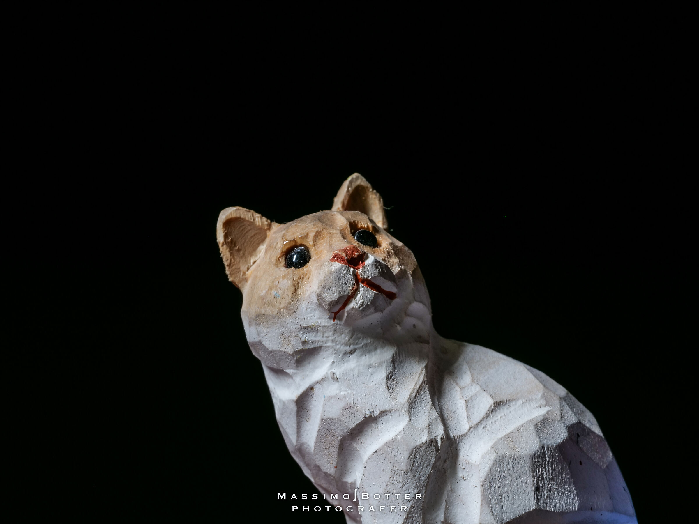 Il gatto di legno ...