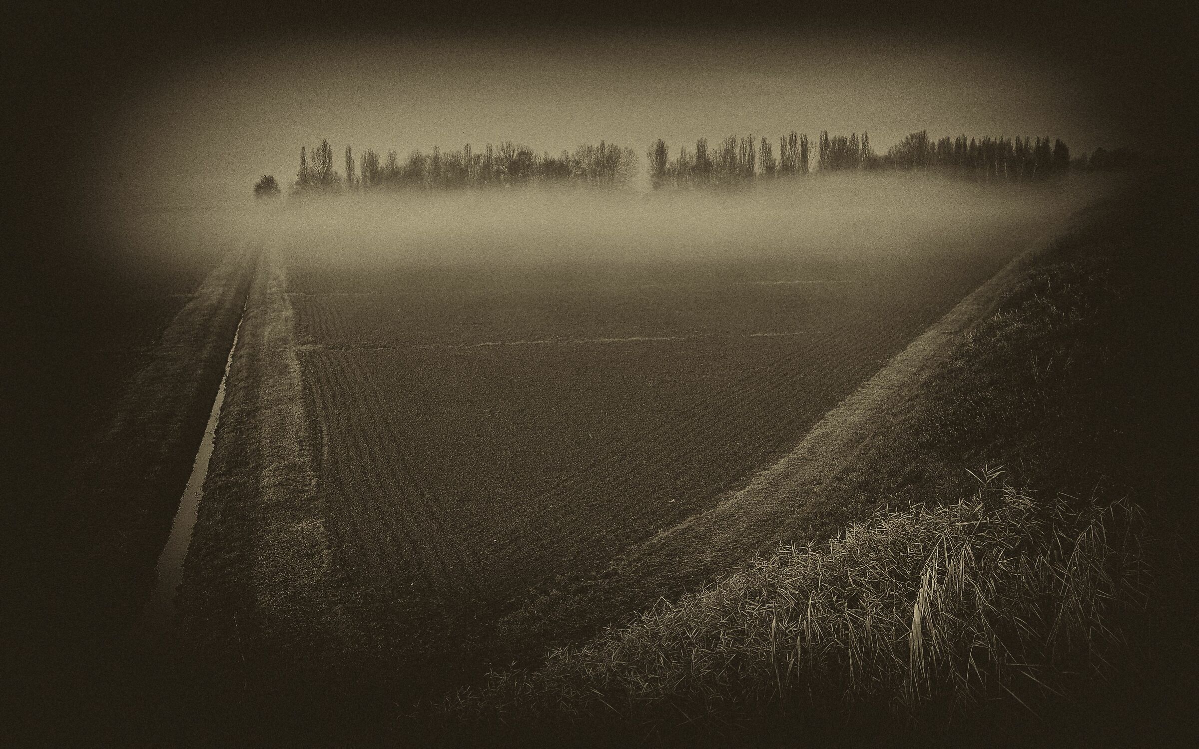 Bagno di Piano(Bo) Fiume Reno - 11/12/2020