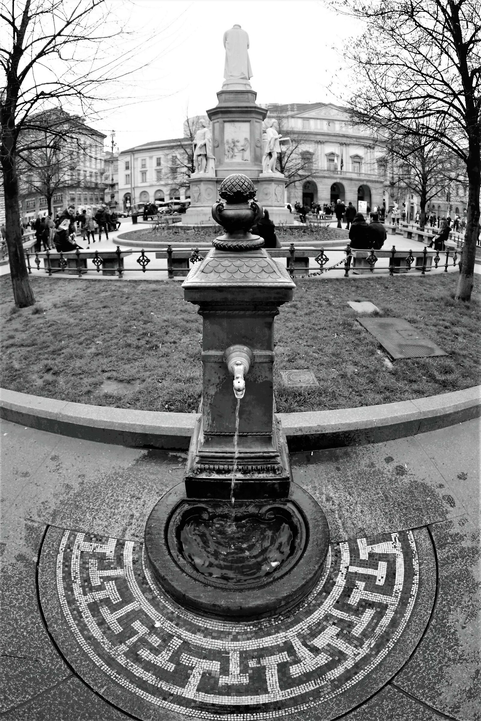 Vedovella n. 1 Drago Verde