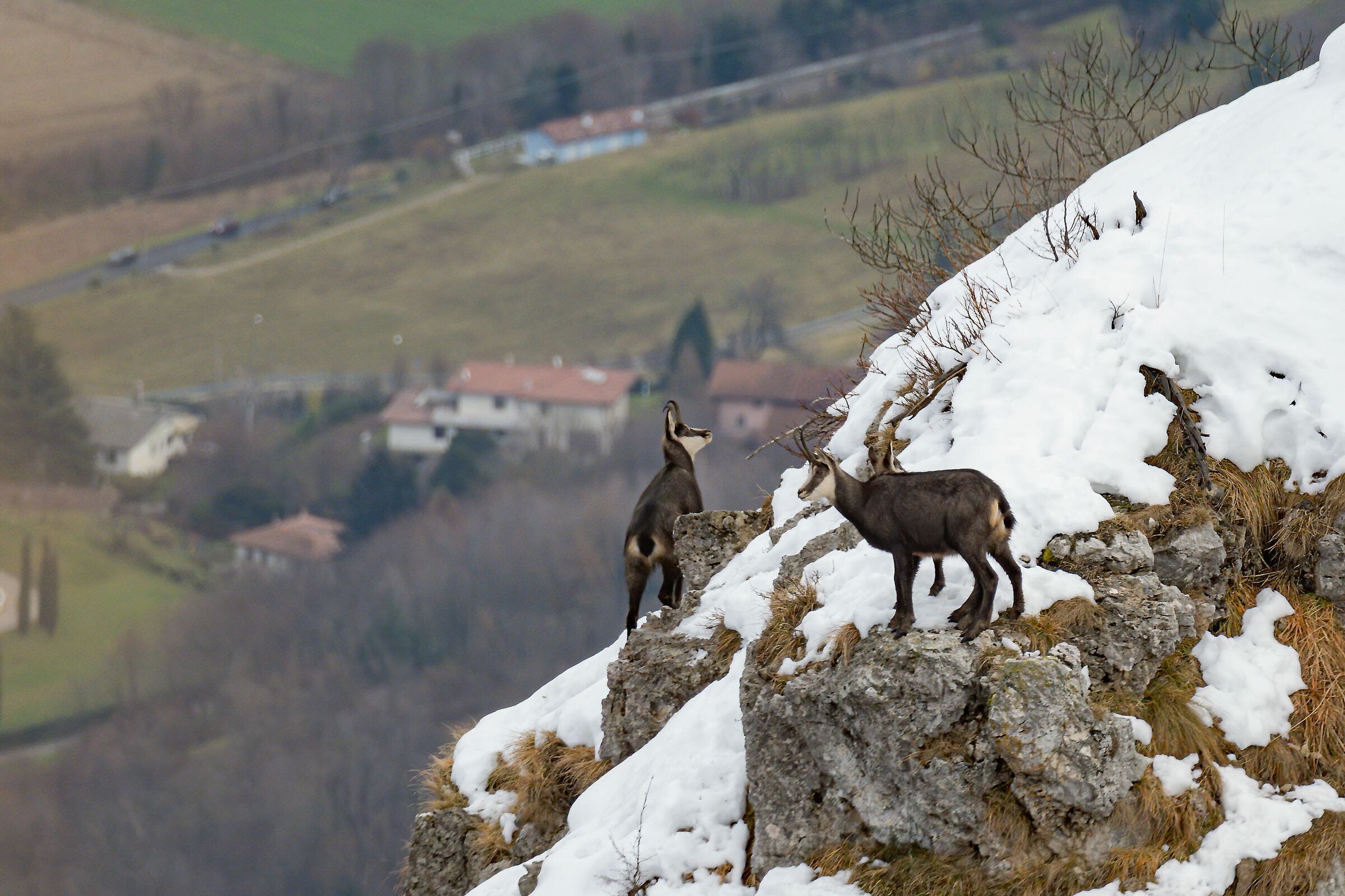 Brazome - Equilibristi