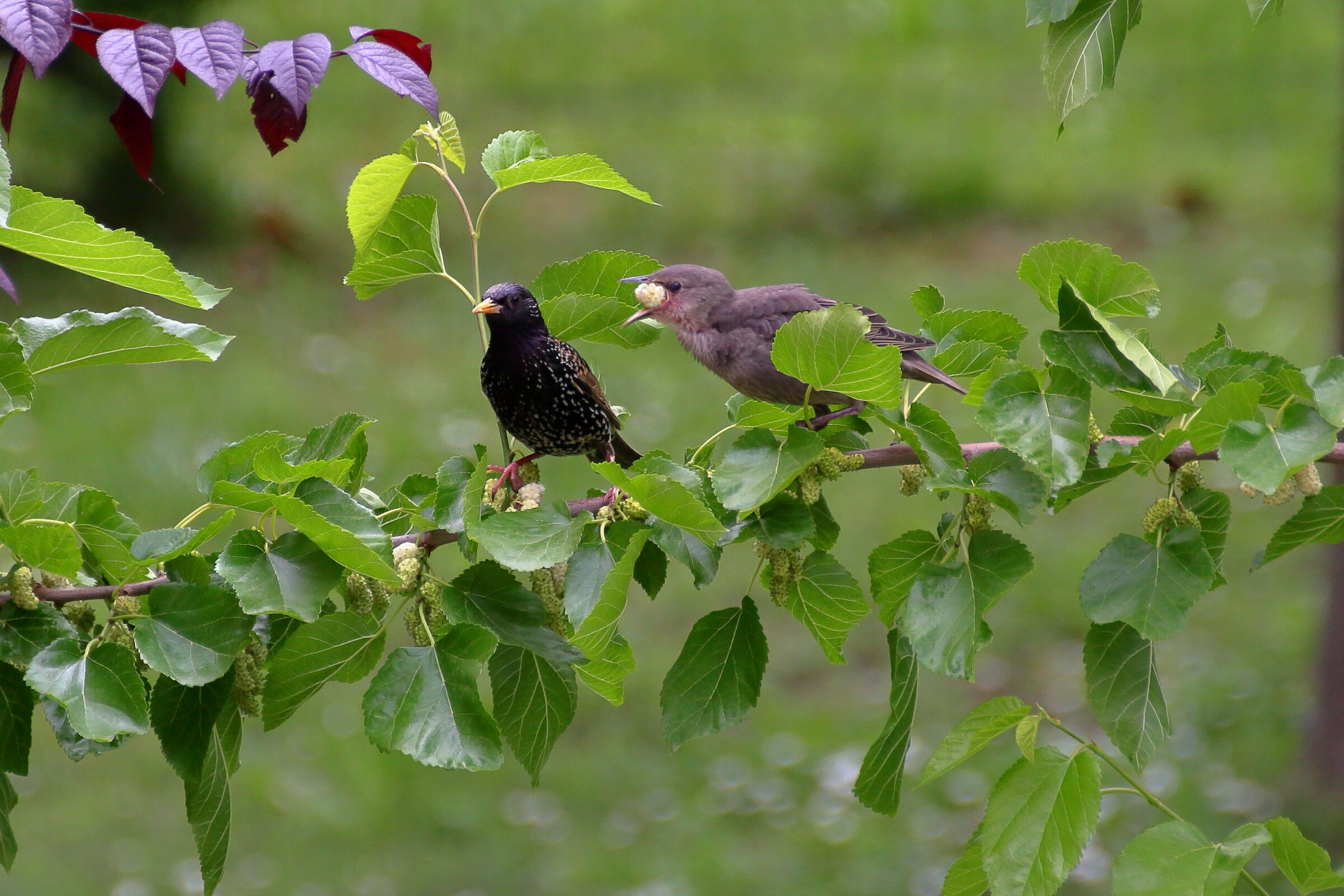 Ecco, ora sono a posto, grazie