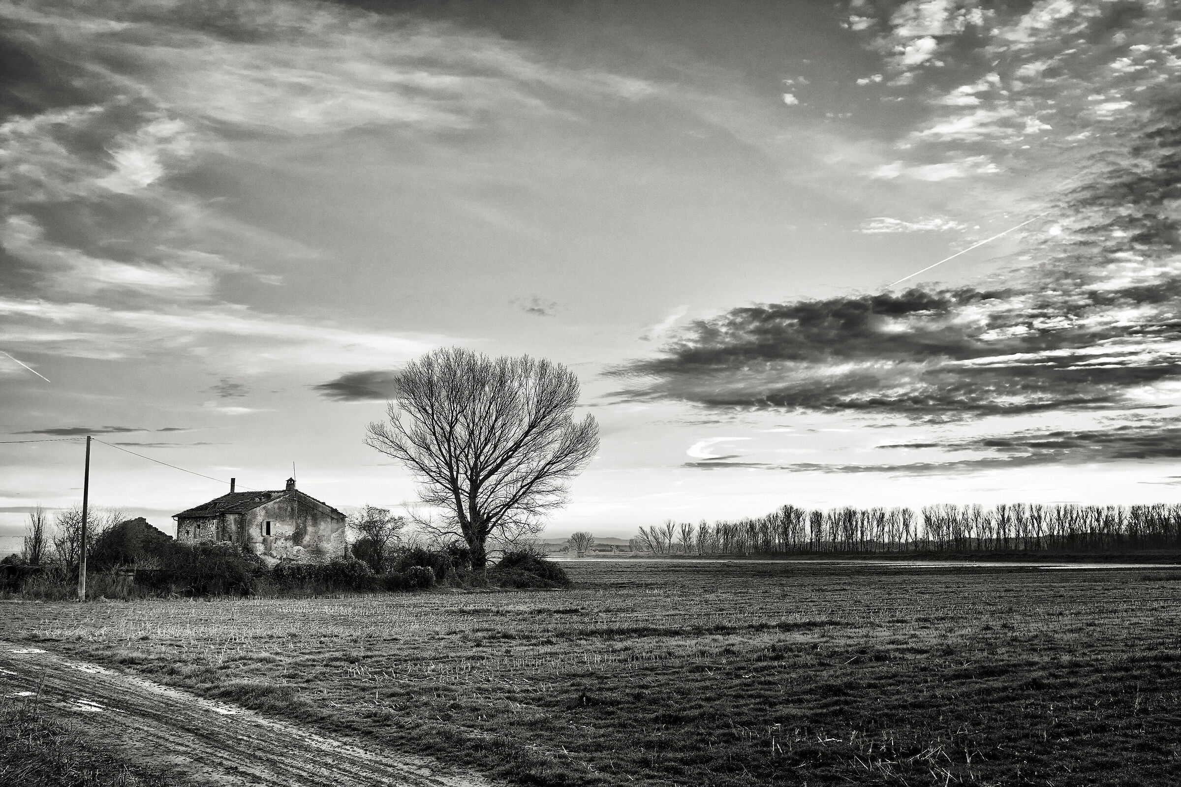 Casa abbandonata (Padule Fucecchio)