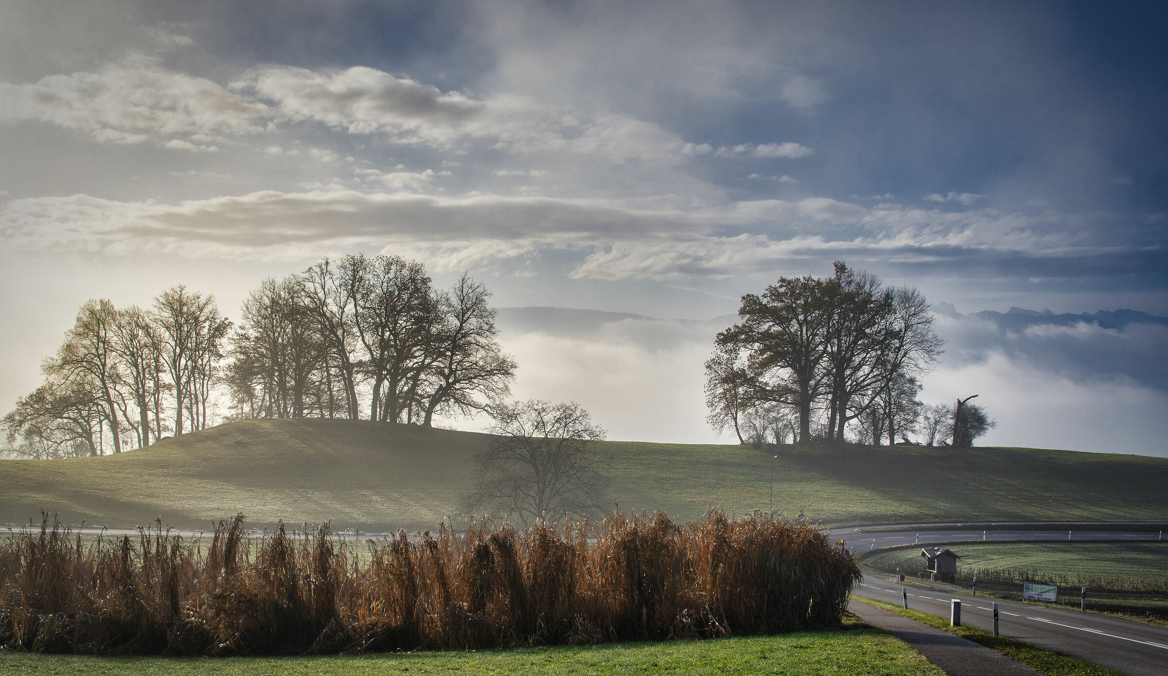 Nebbia