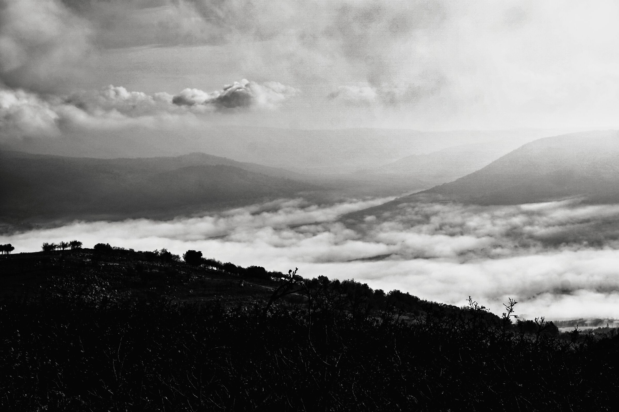 Mare di nebbia ...senza viandante